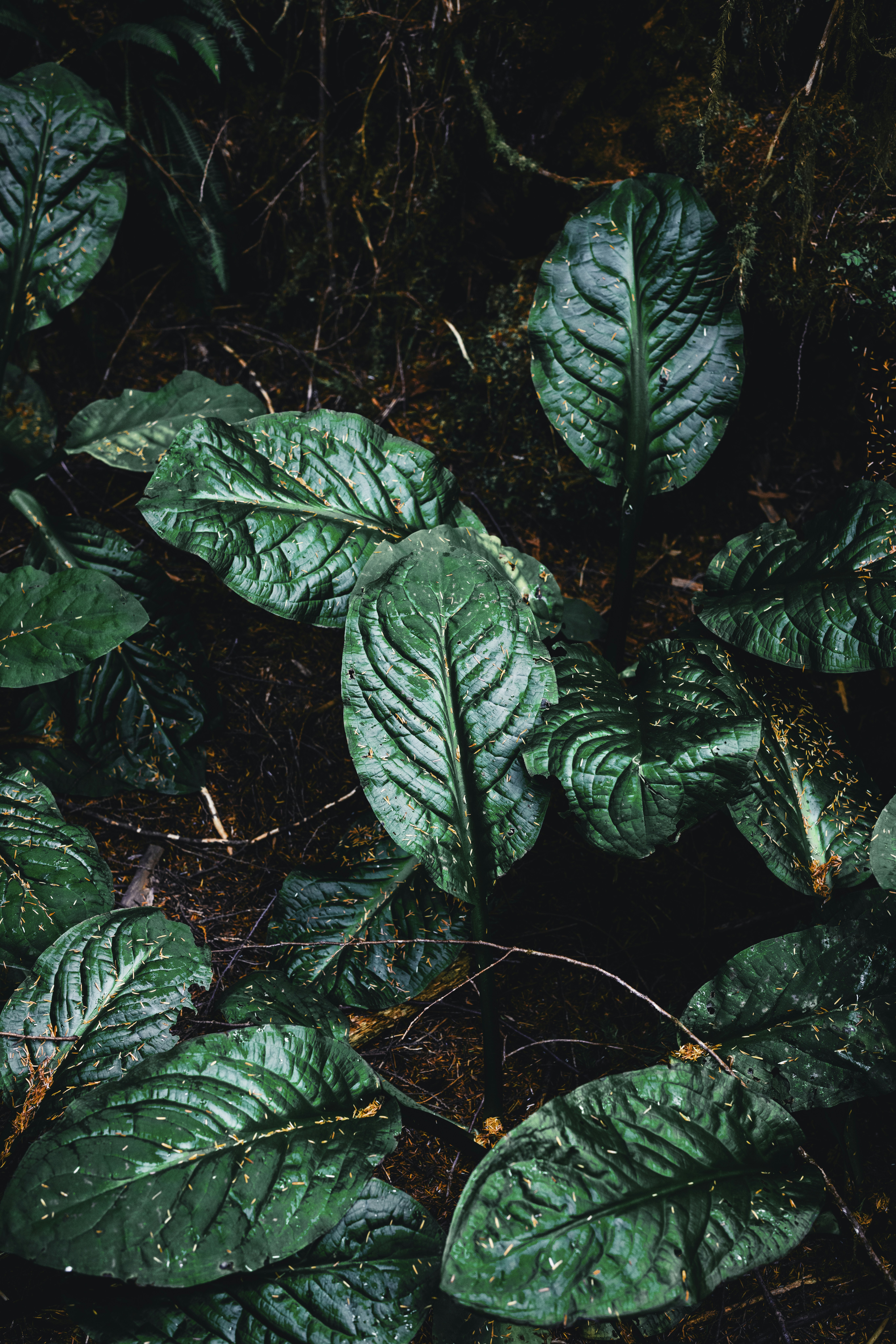 Photo by lureofadventure