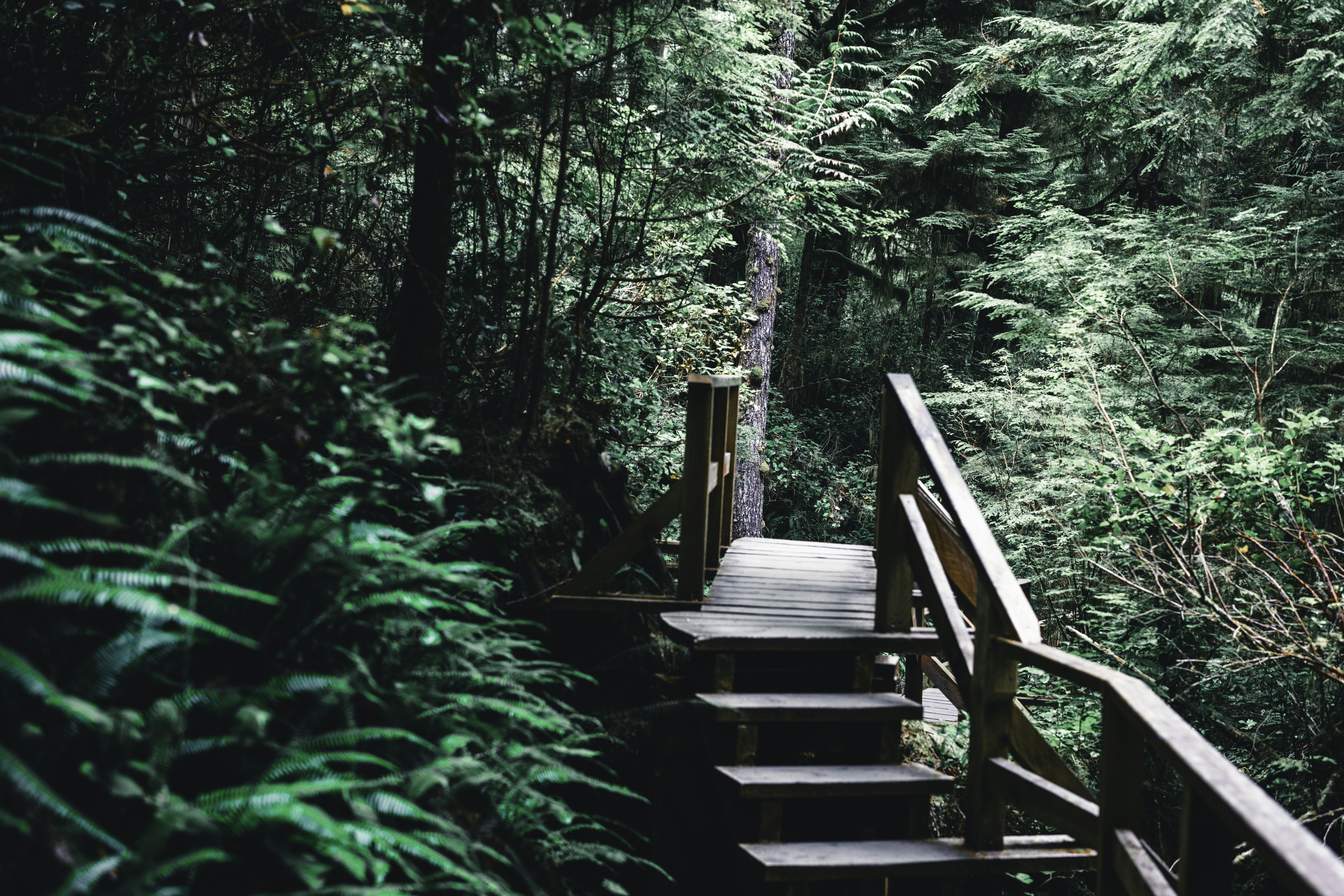 Photo by lureofadventure