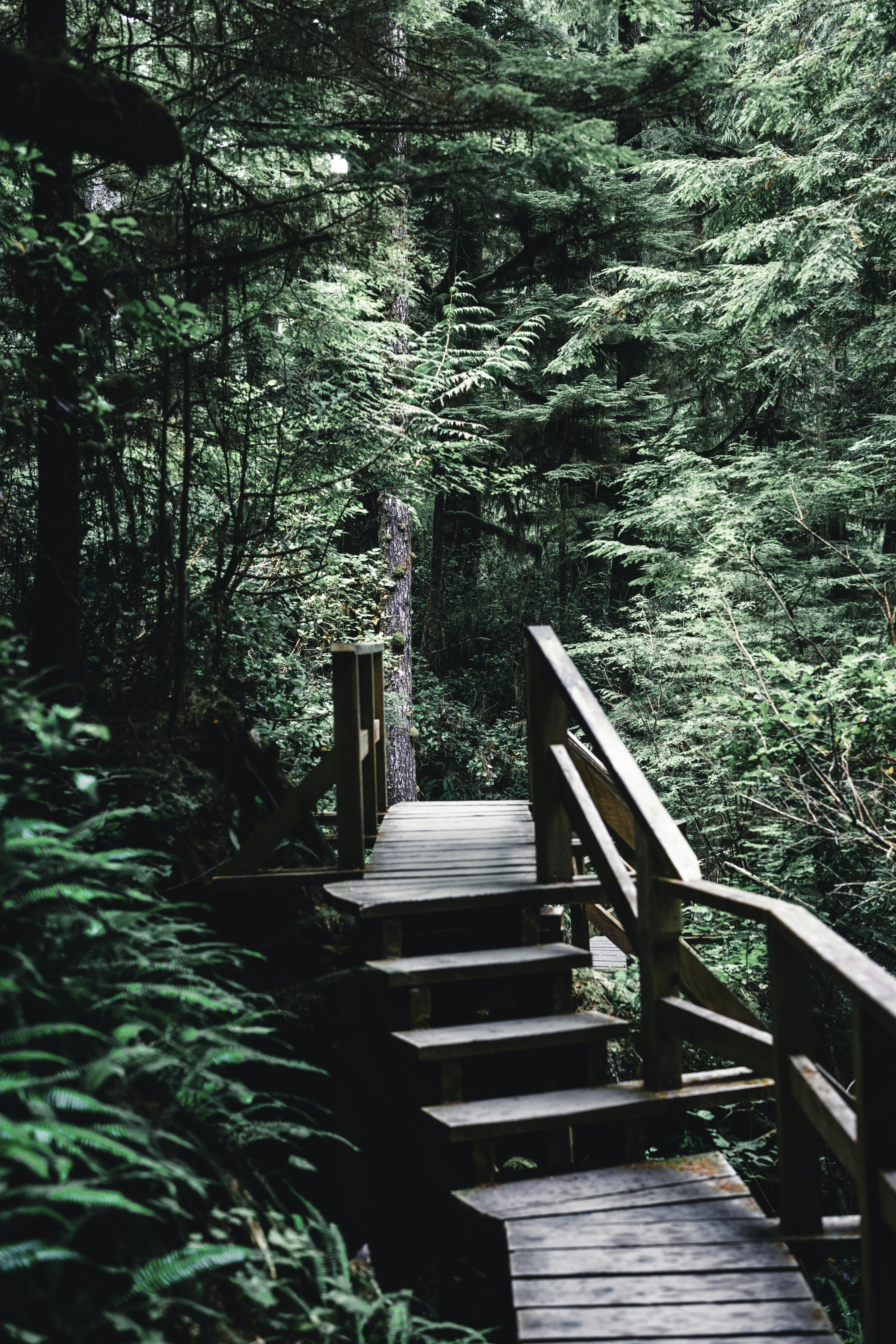 Photo by lureofadventure