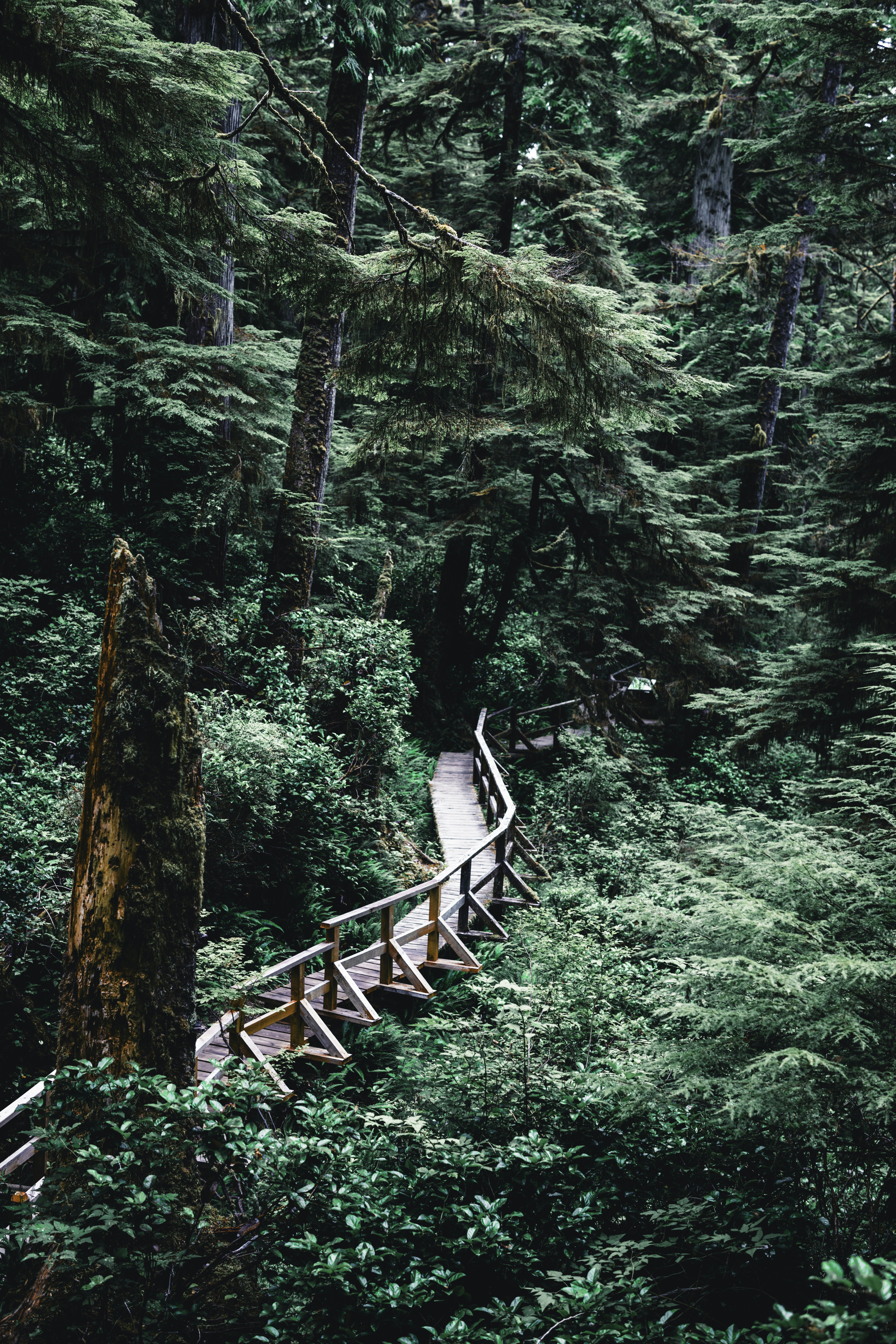 Photo by lureofadventure