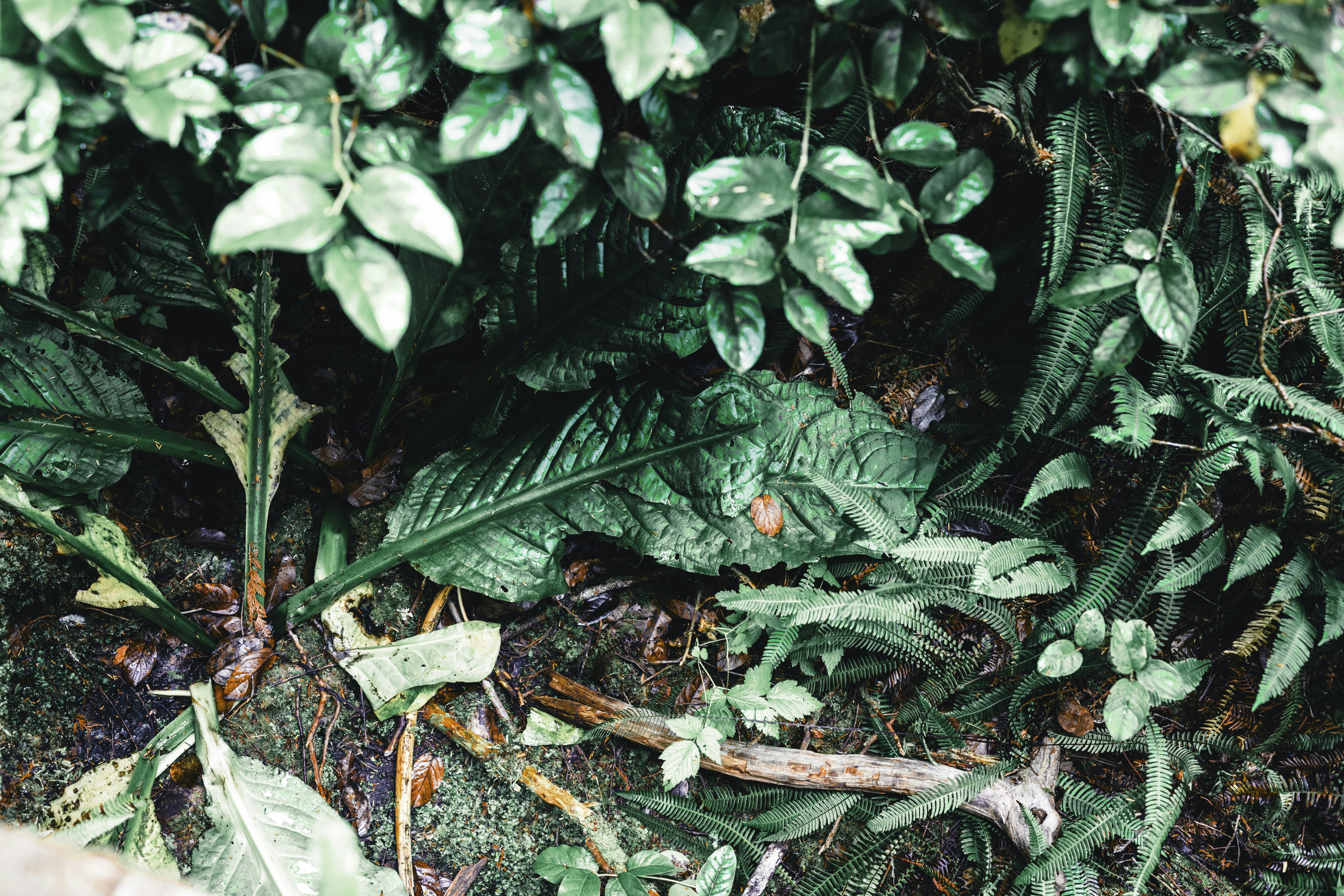 Photo by lureofadventure