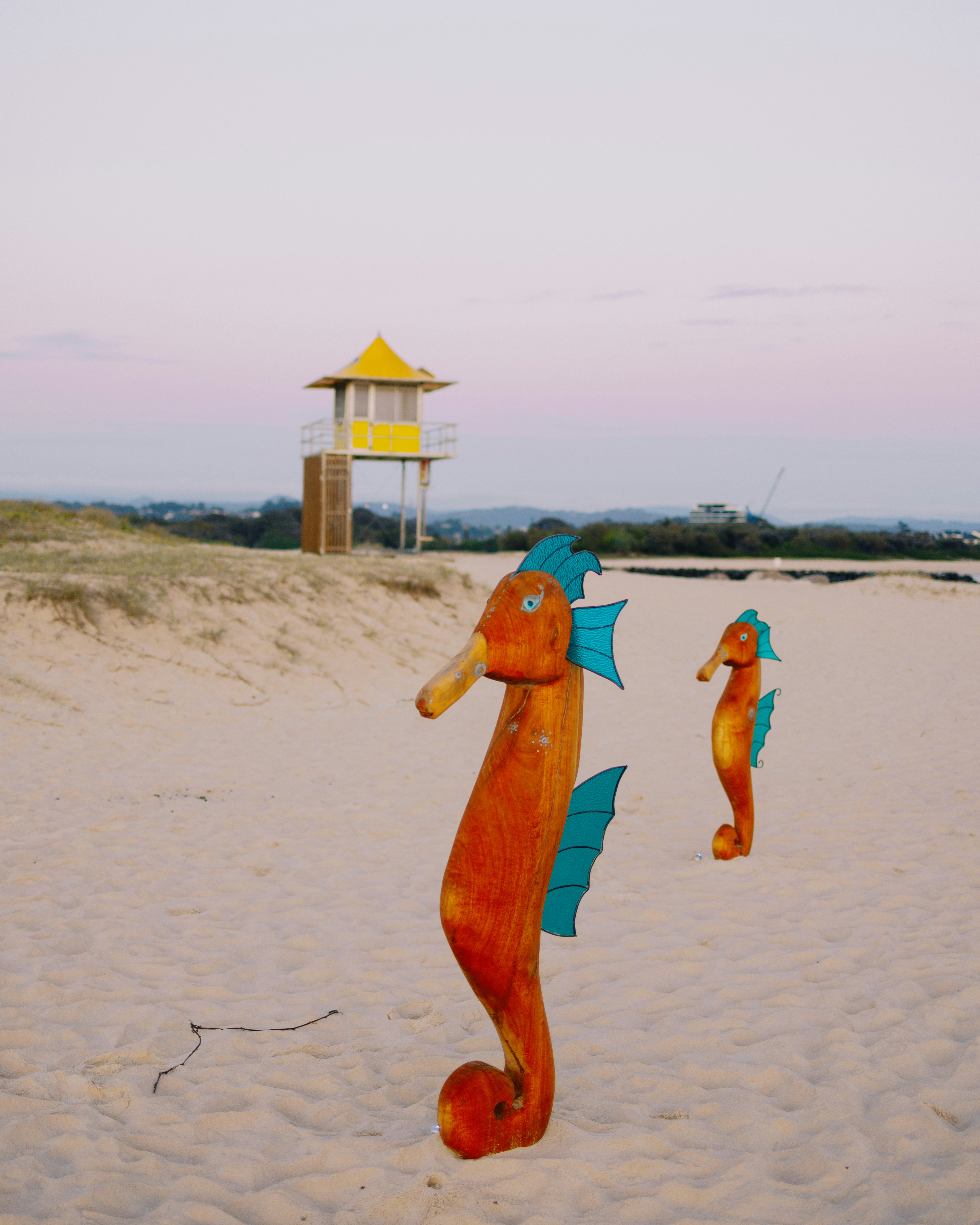 A couple of sea horses on a beach