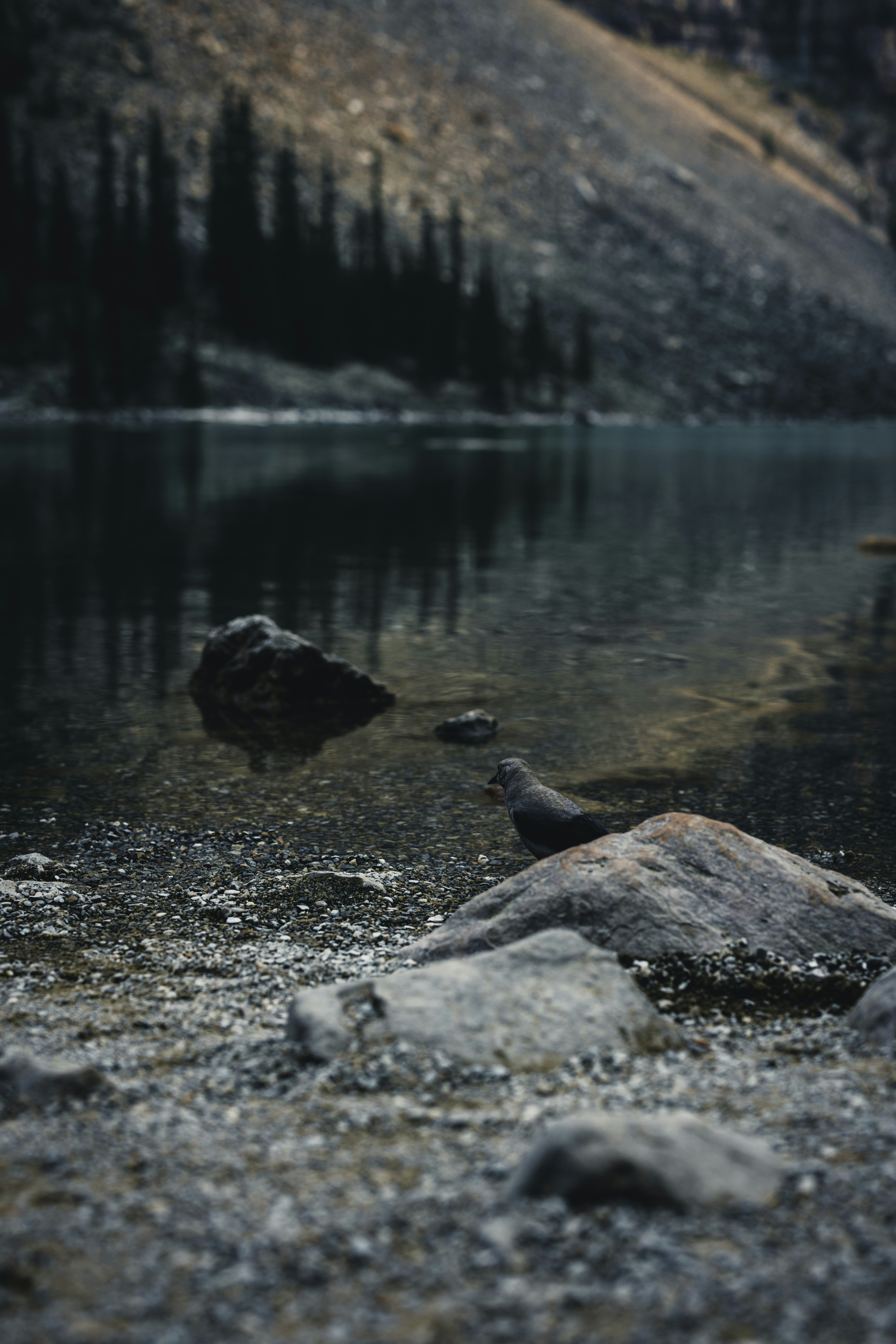 Photo by lureofadventure