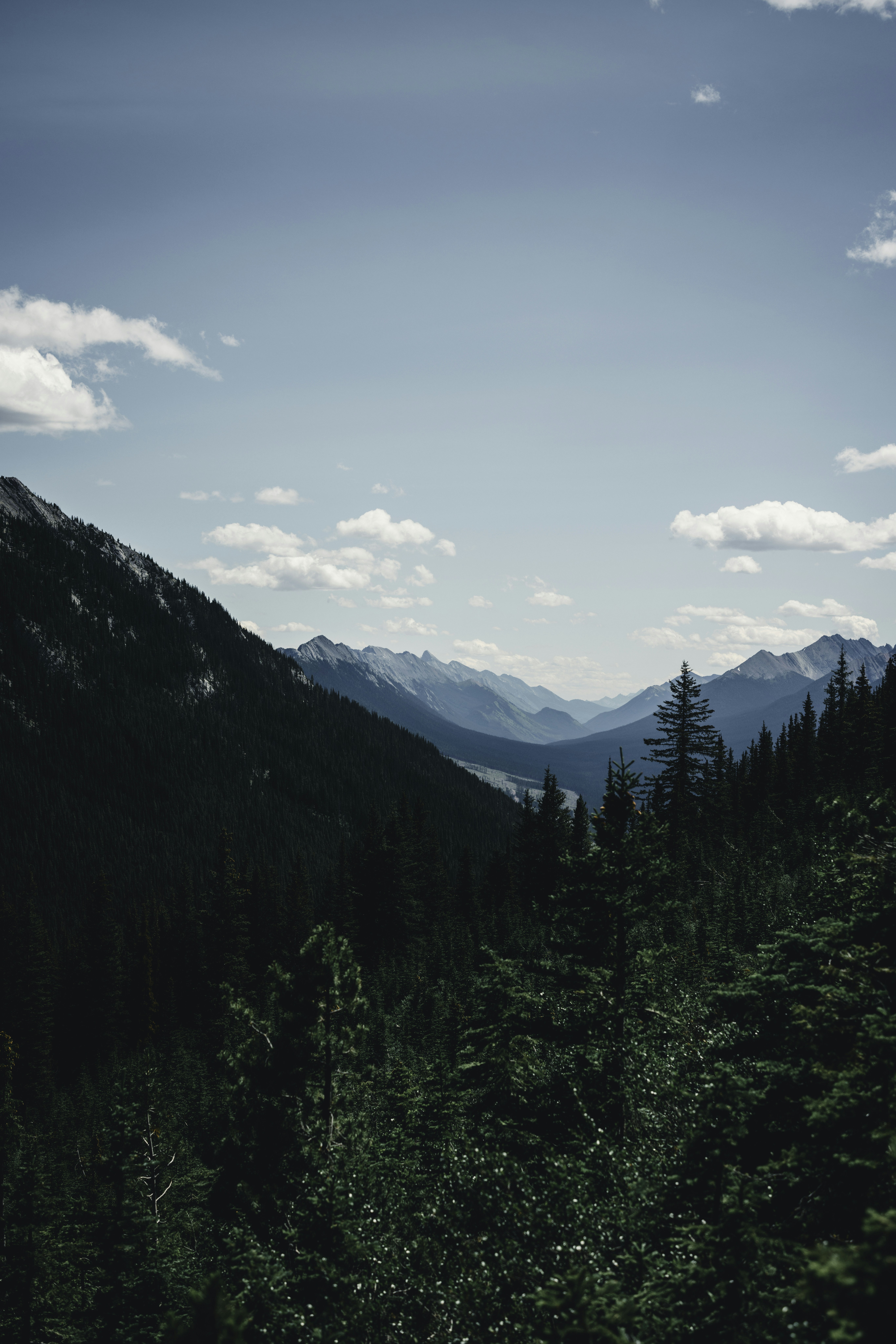 Photo by lureofadventure