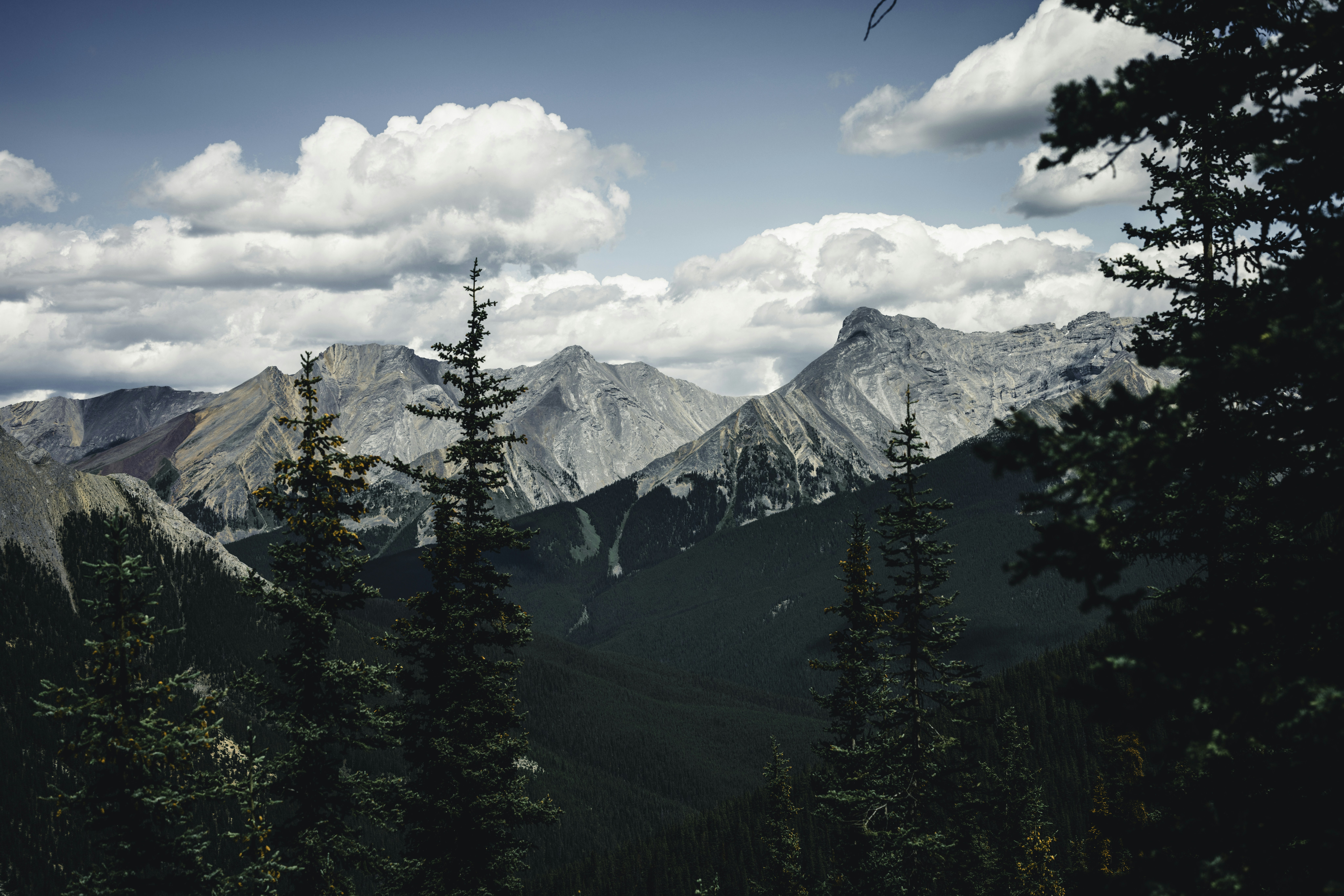 Photo by lureofadventure