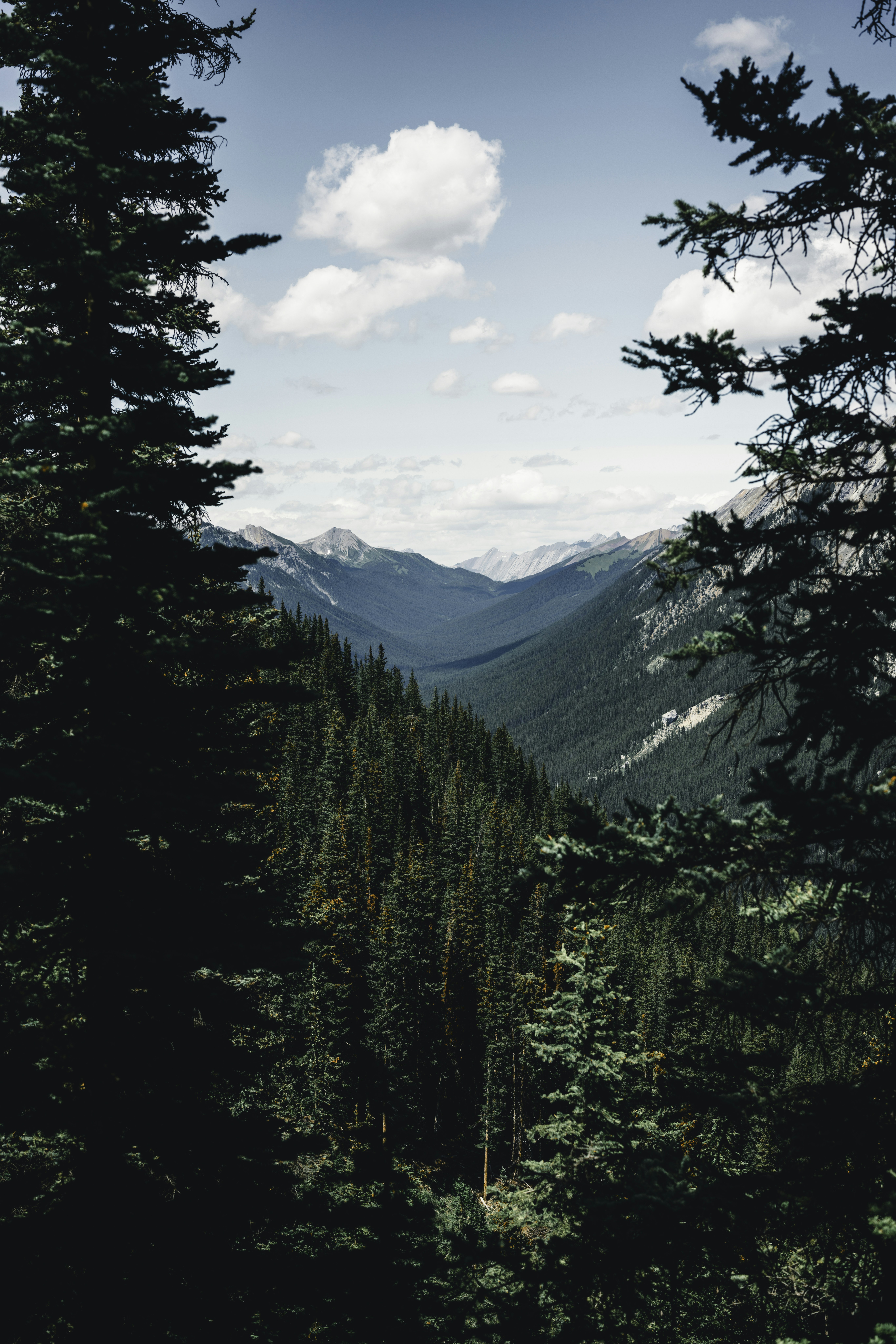 Photo by lureofadventure