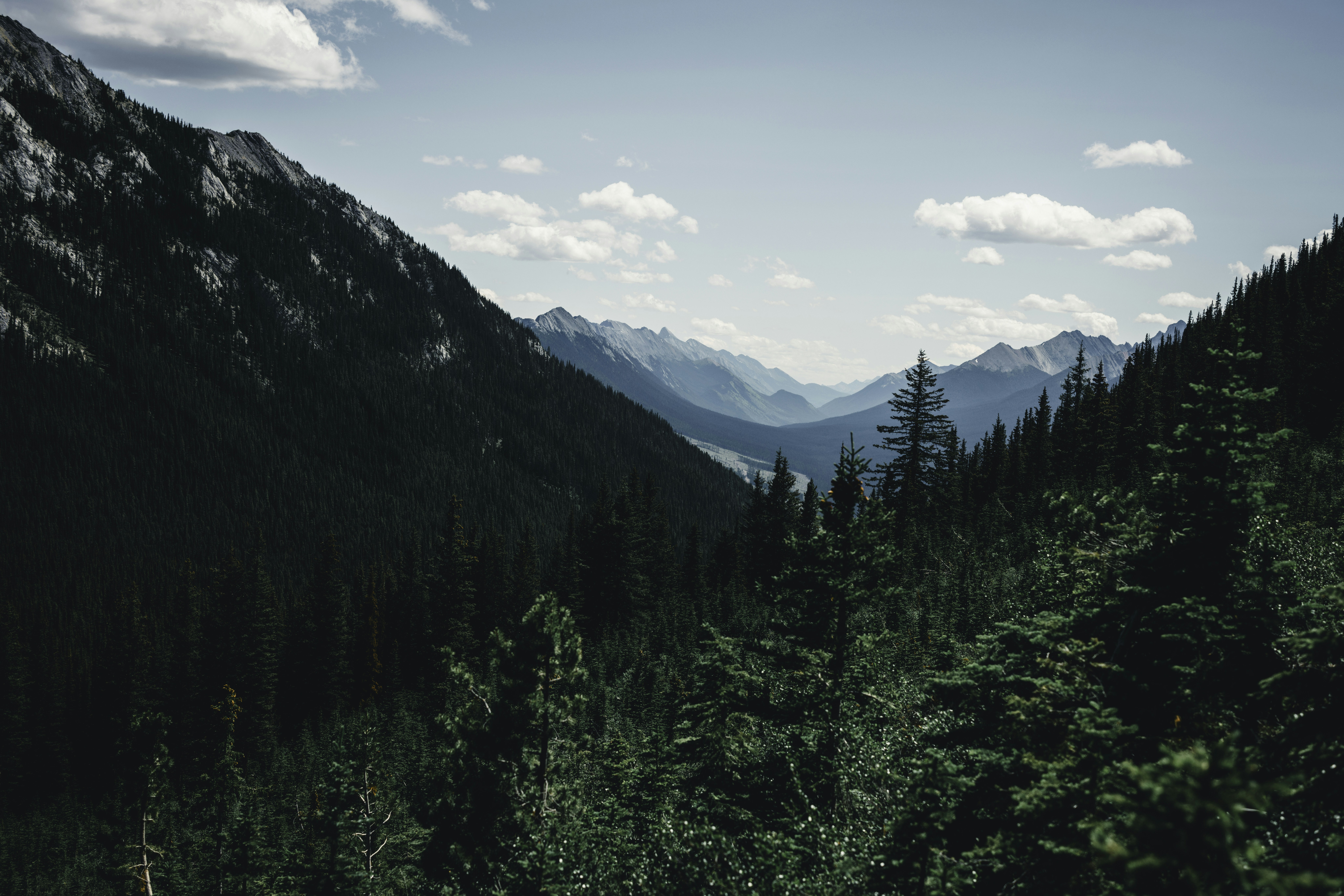 Photo by lureofadventure