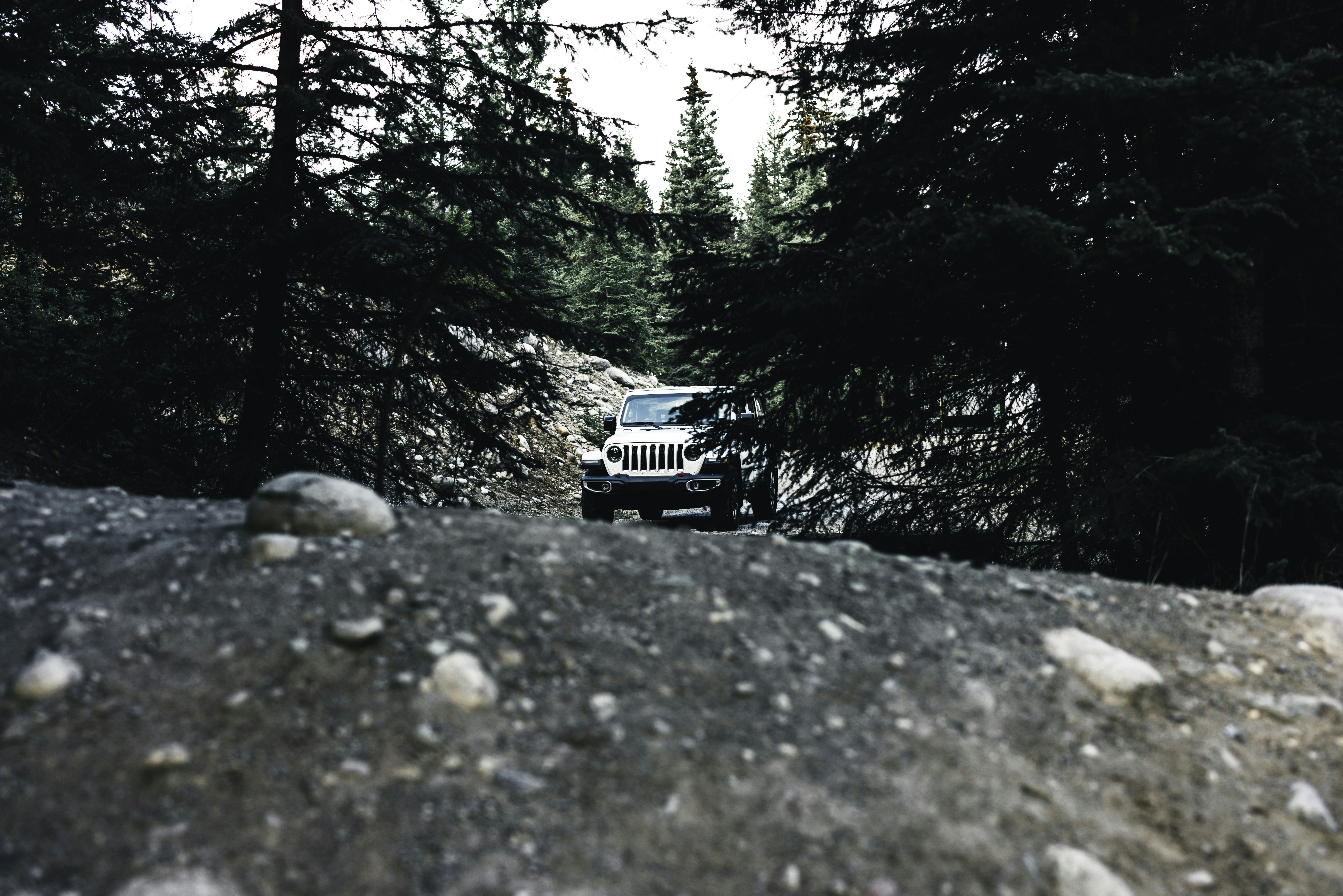 Photo by lureofadventure