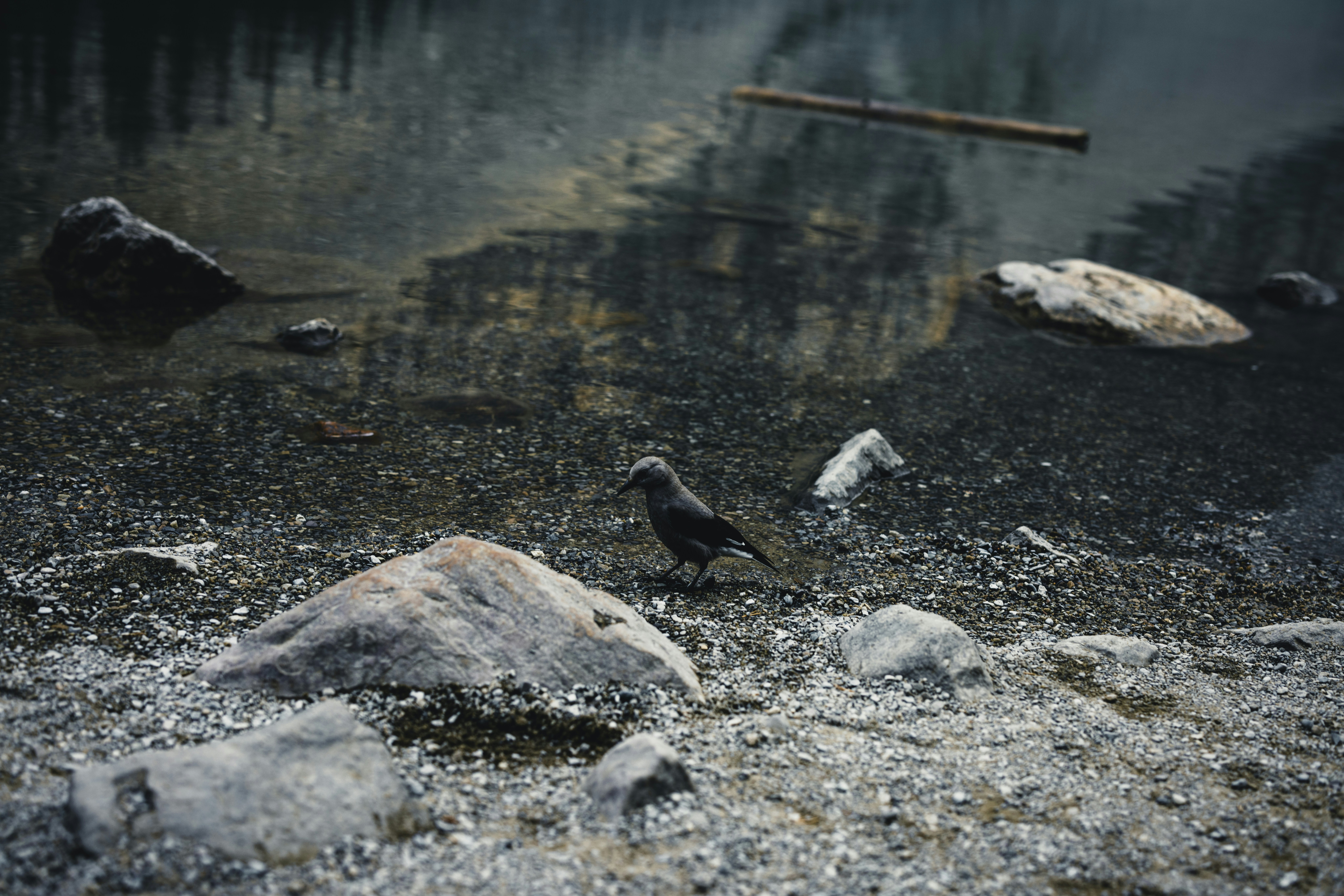 Photo by lureofadventure