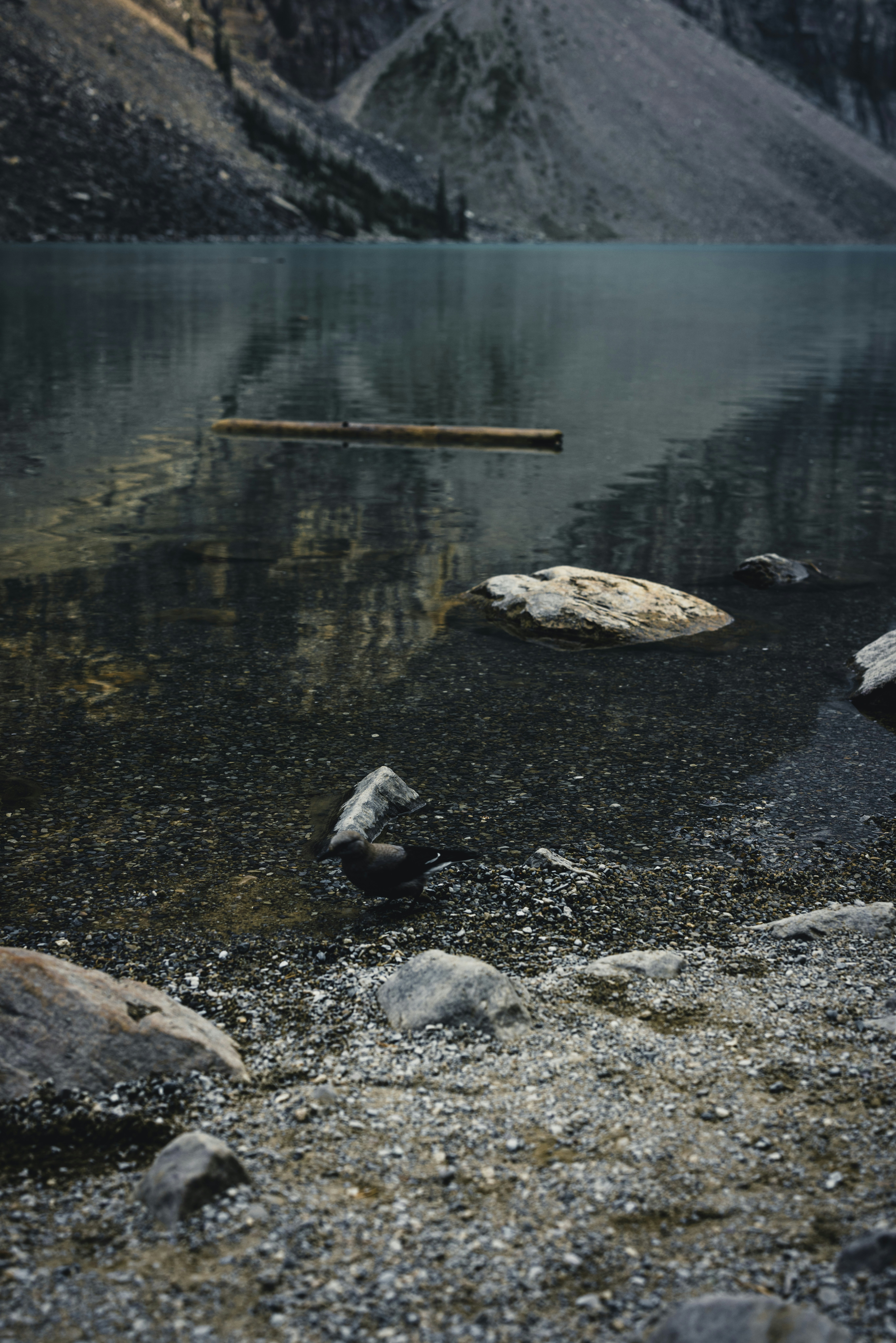 Photo by lureofadventure