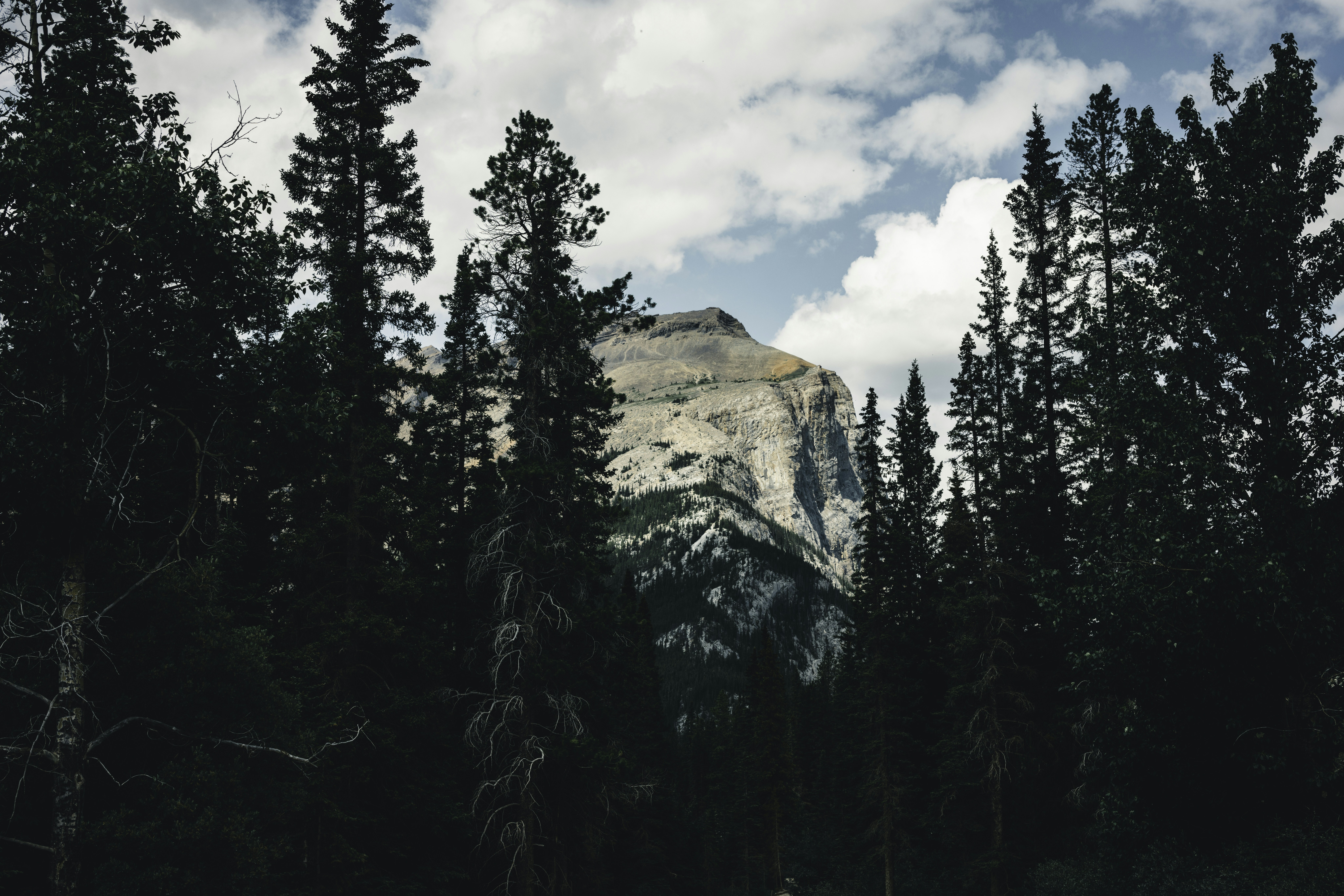 Photo by lureofadventure