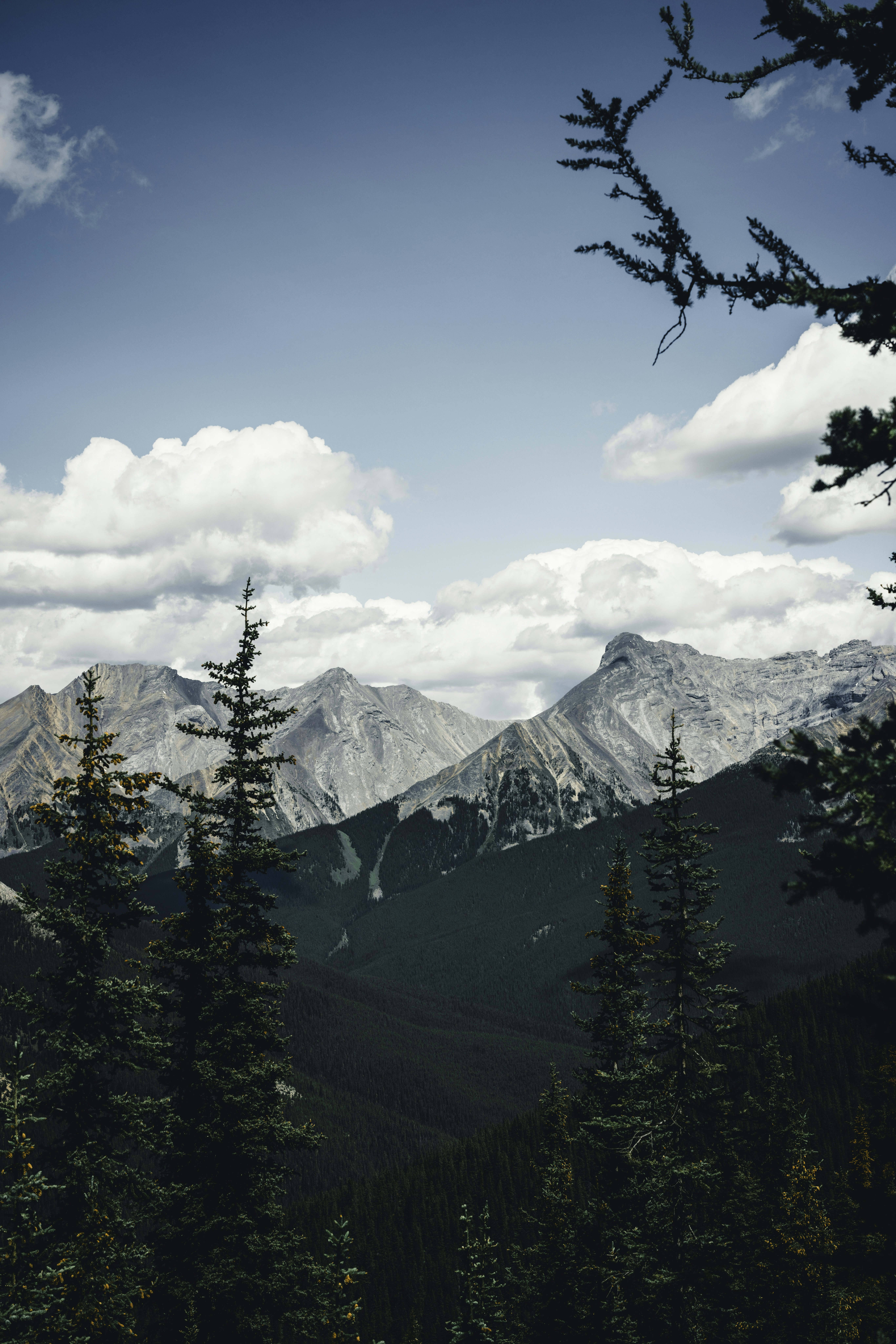 Photo by lureofadventure