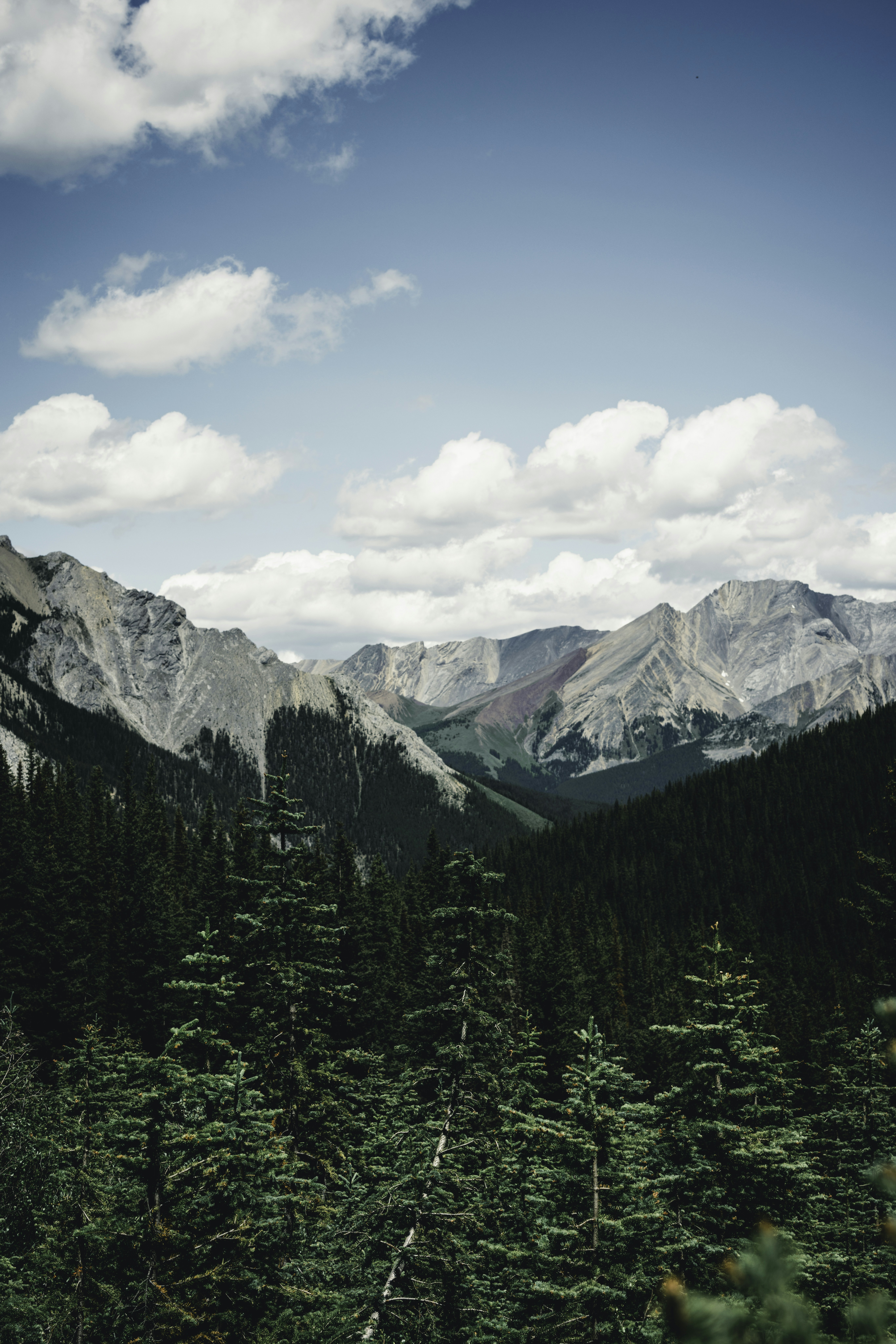 Photo by lureofadventure