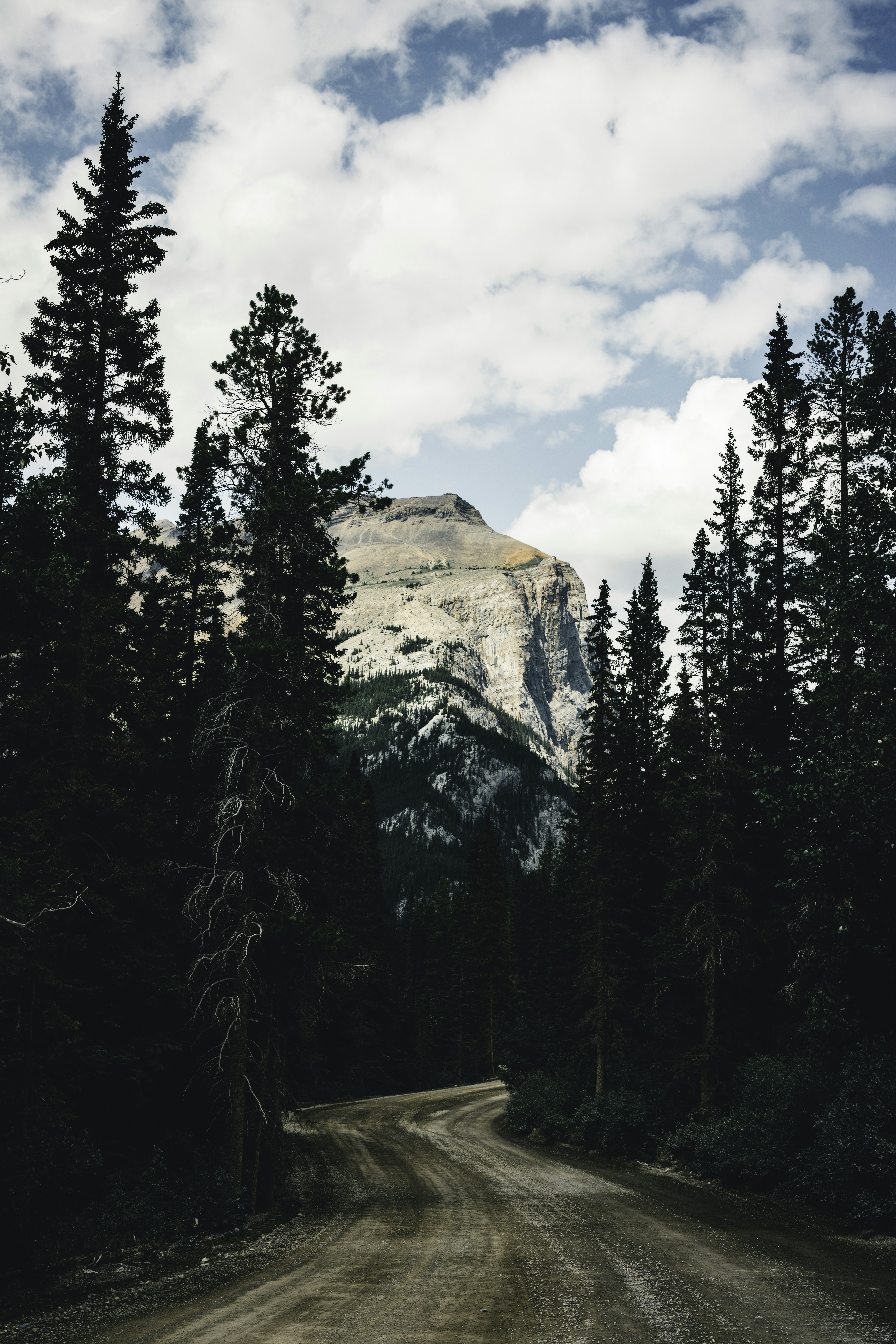 Photo by lureofadventure