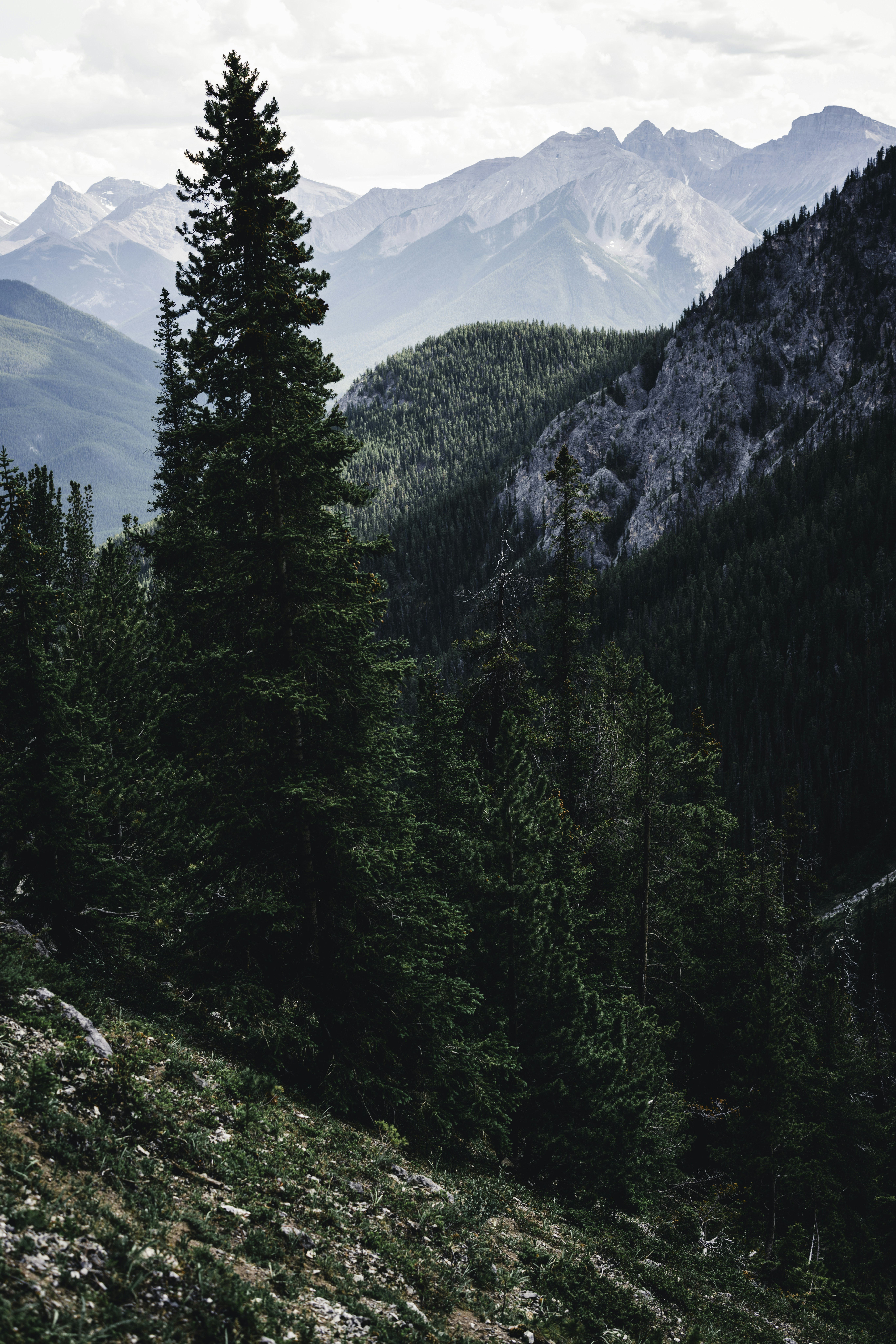 Photo by lureofadventure