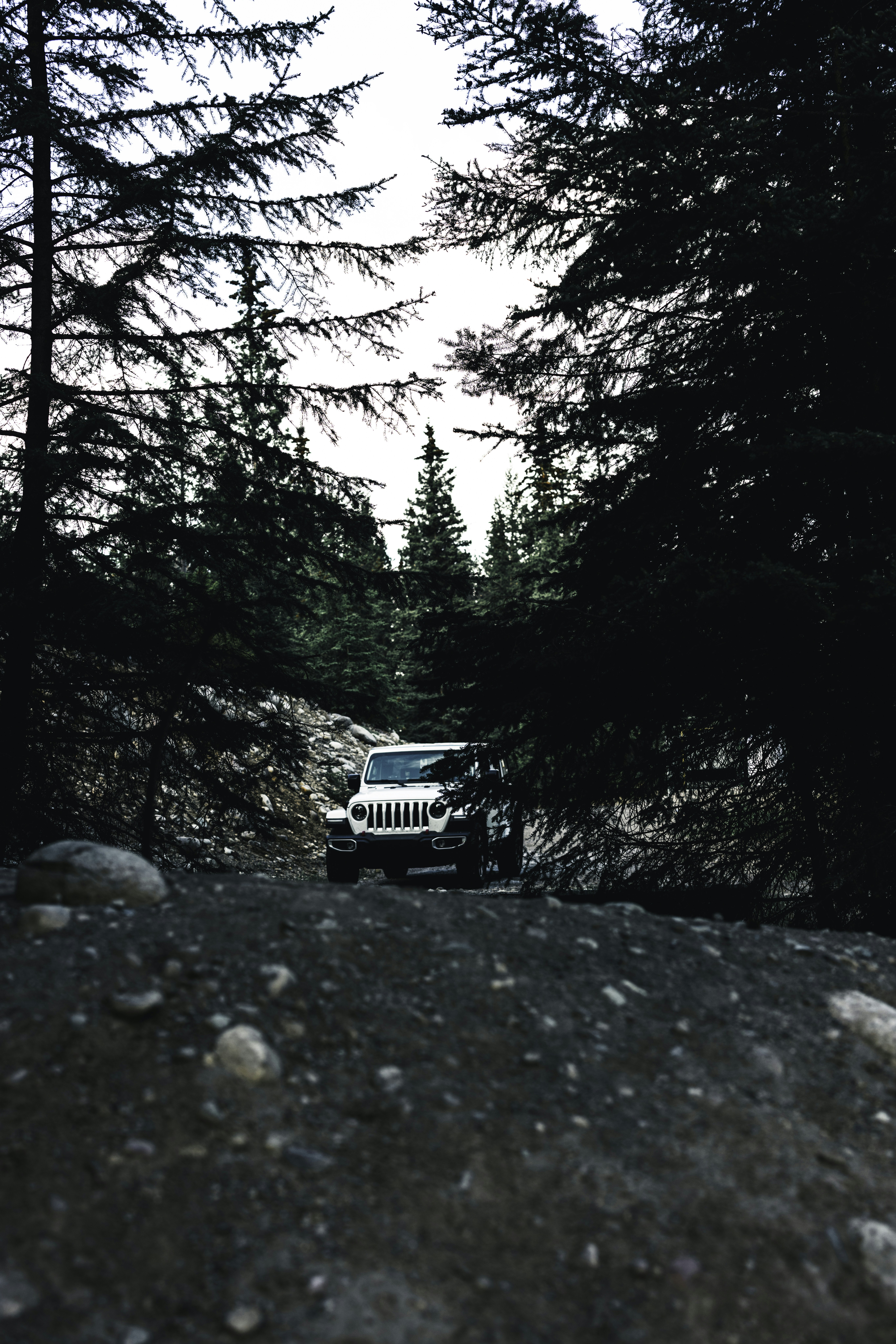 Photo by lureofadventure