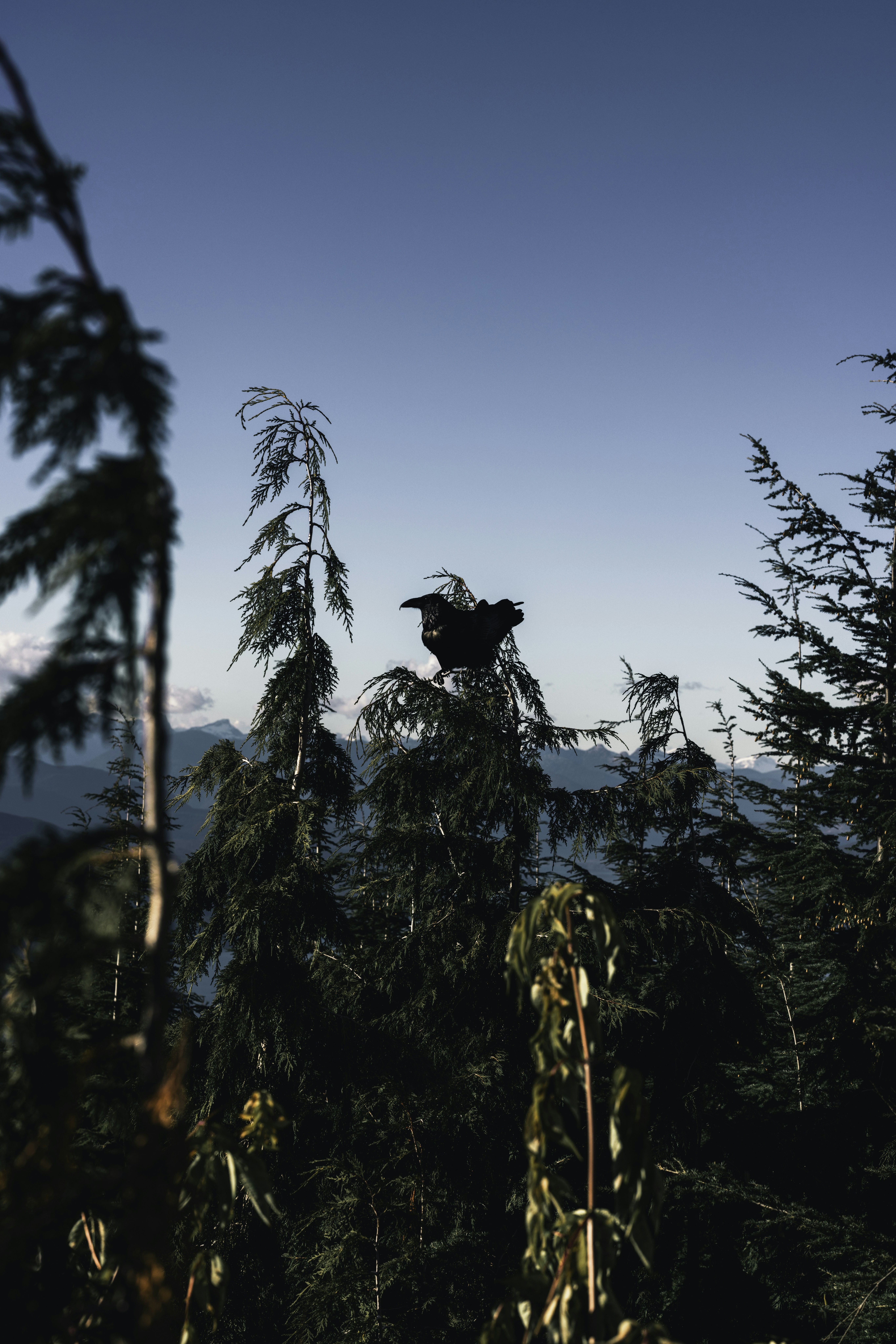 Photo by lureofadventure