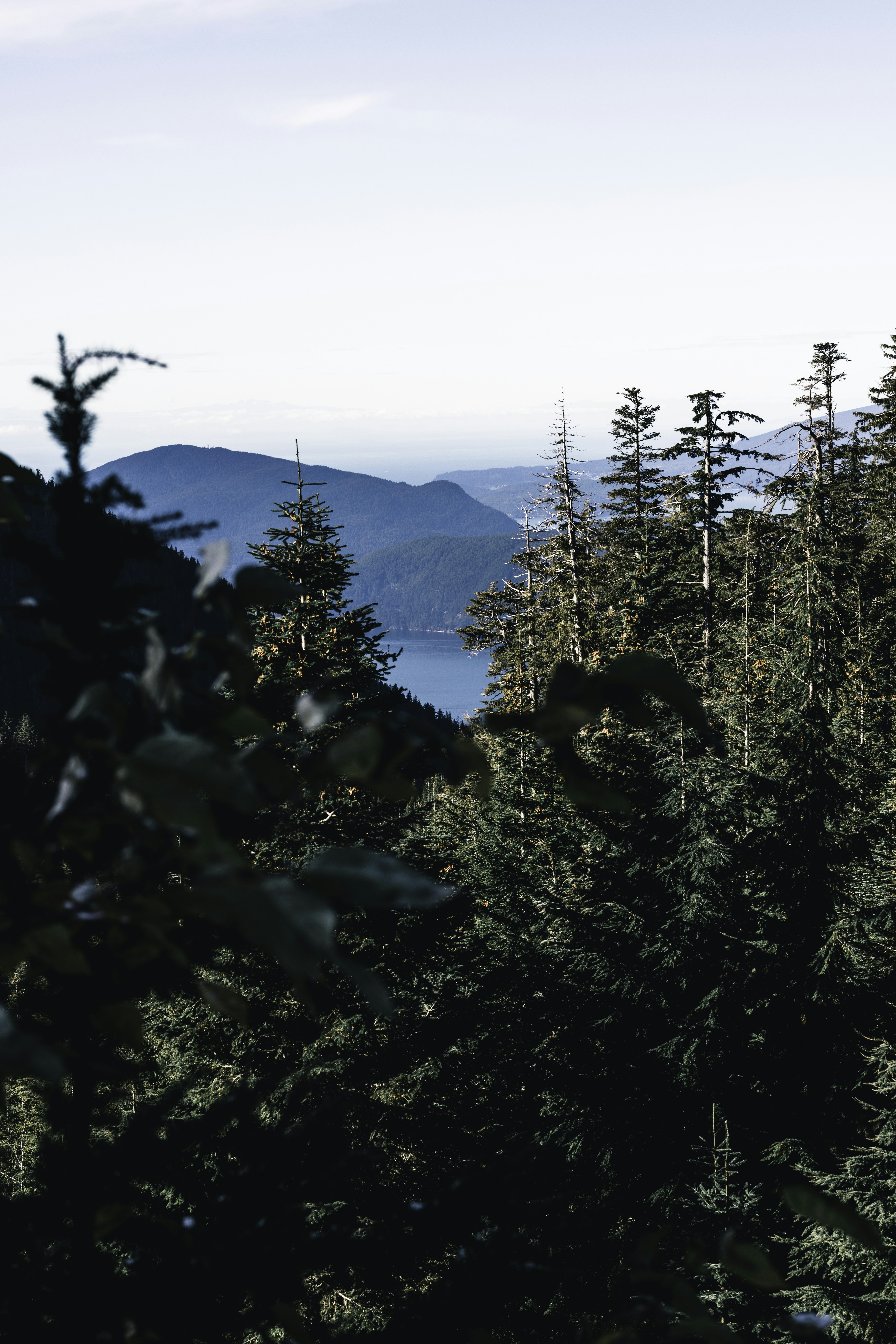 Photo by lureofadventure