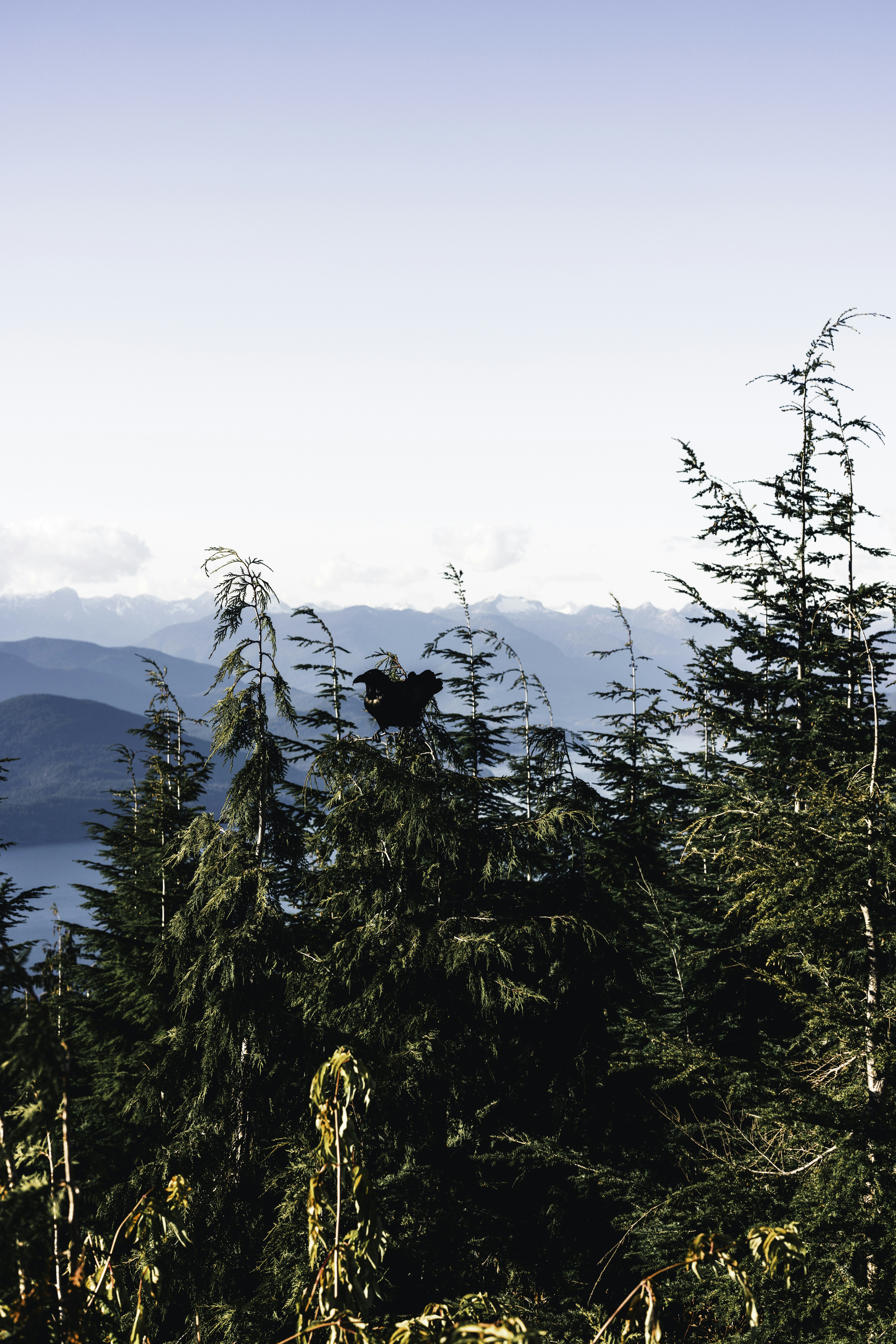 Photo by lureofadventure