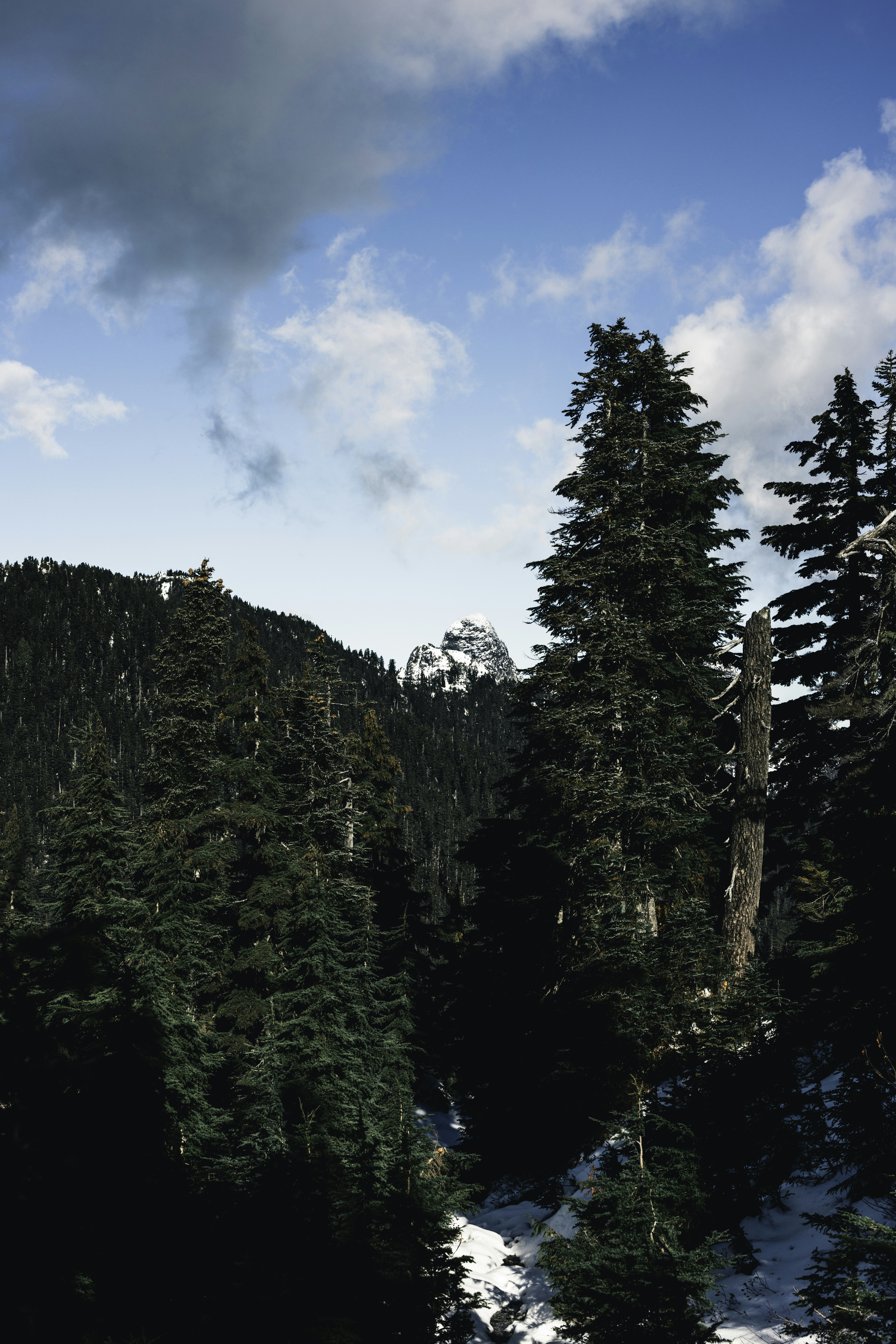 Photo by lureofadventure