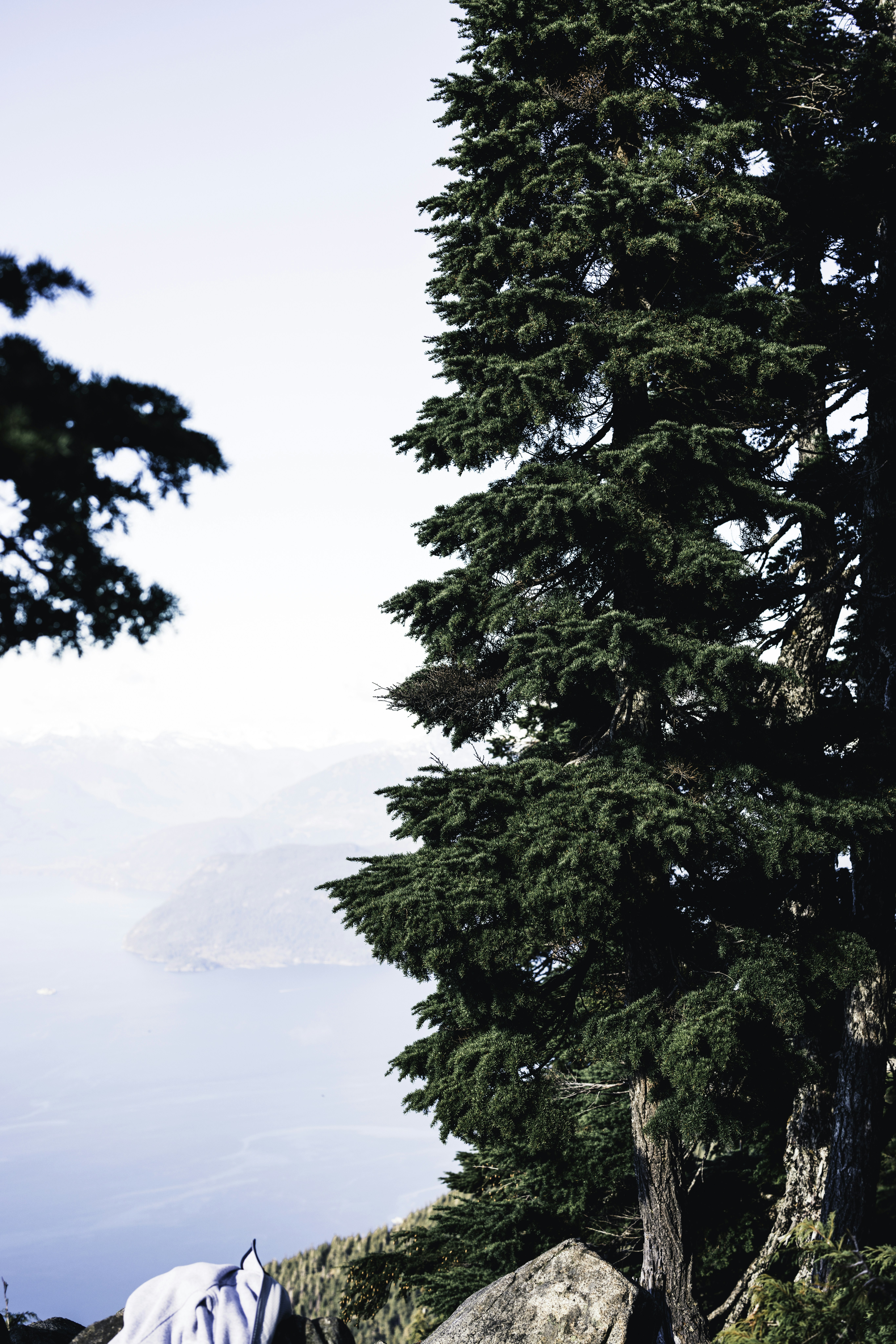 Photo by lureofadventure