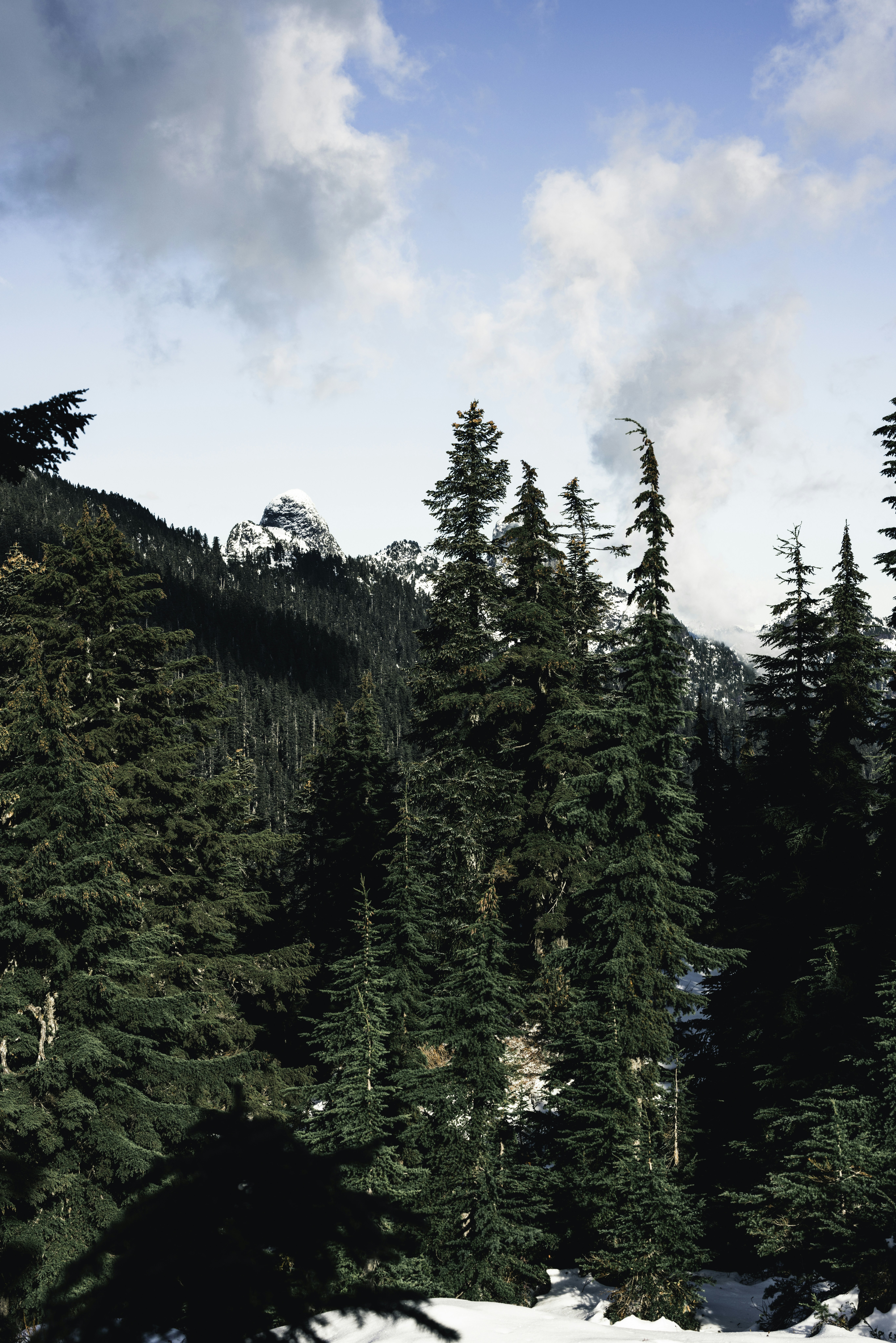 Photo by lureofadventure