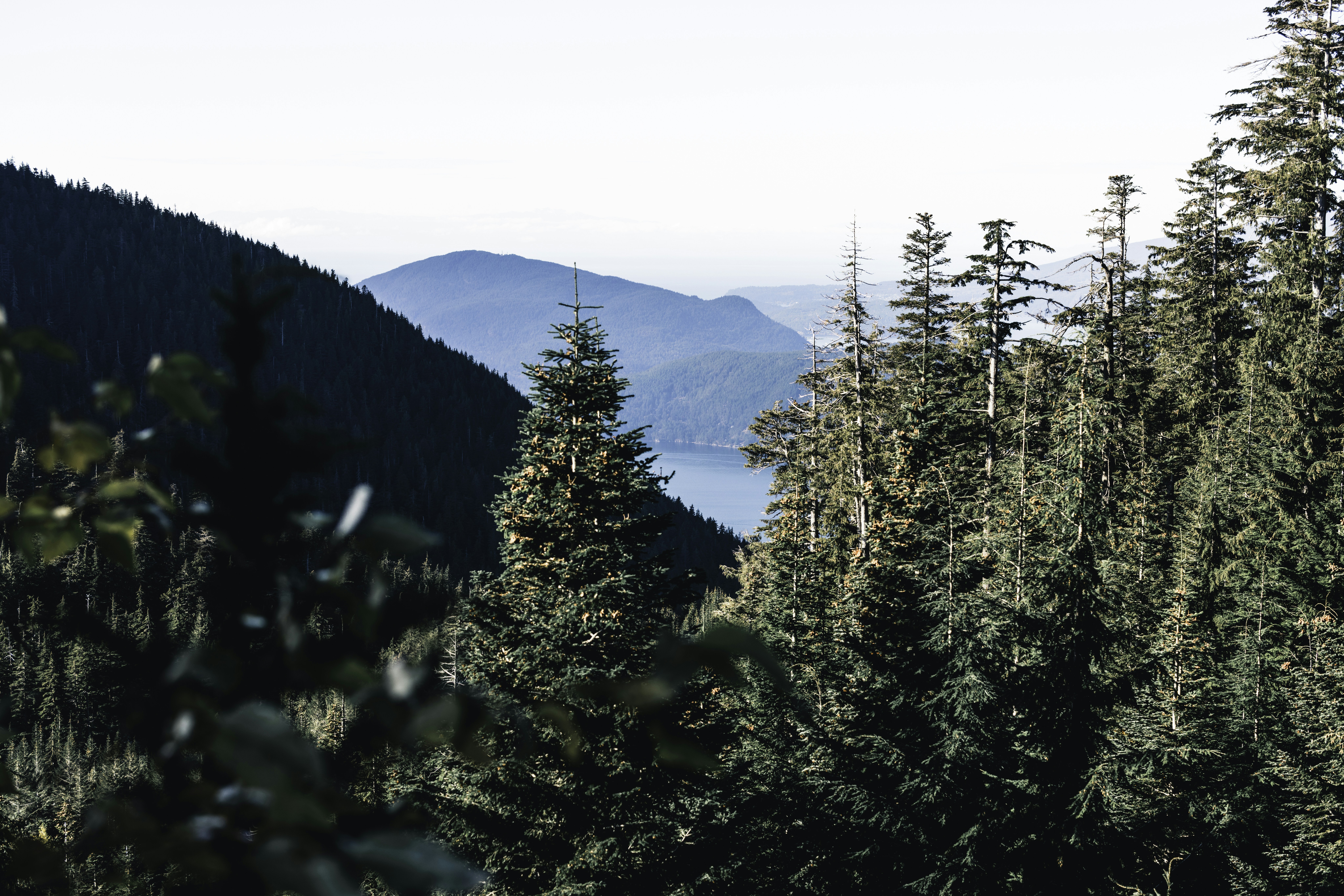 Photo by lureofadventure