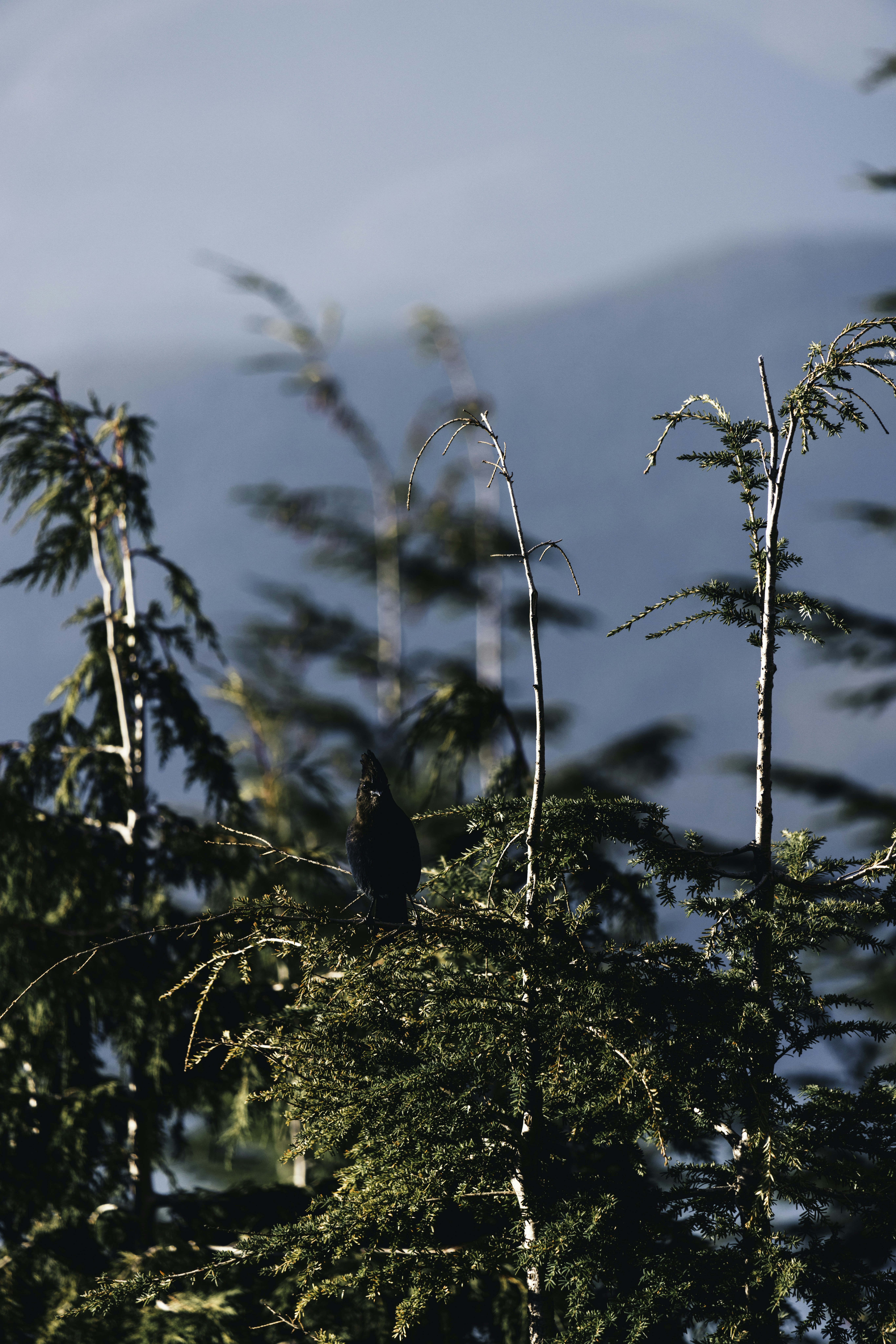 Photo by lureofadventure