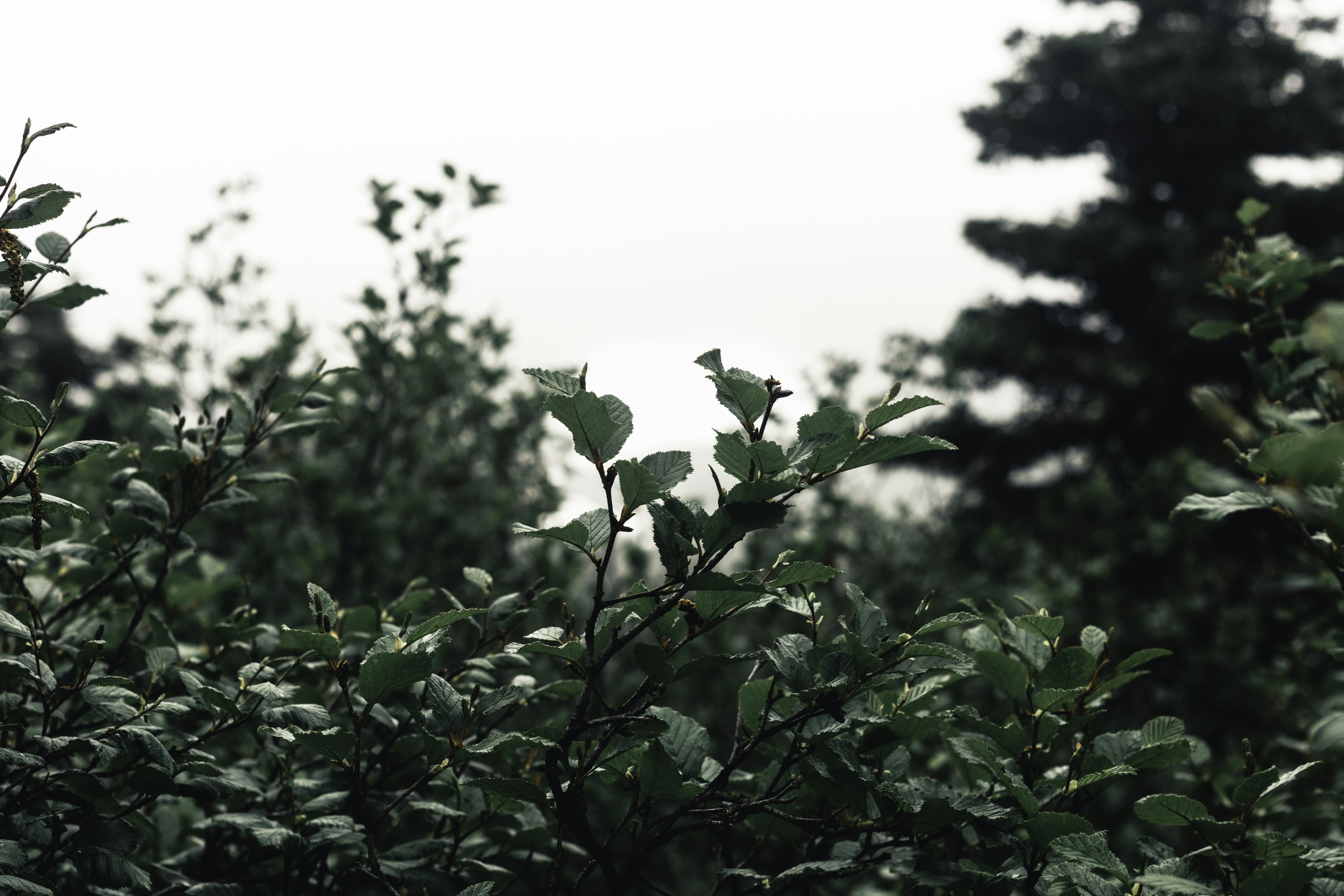 Photo by lureofadventure