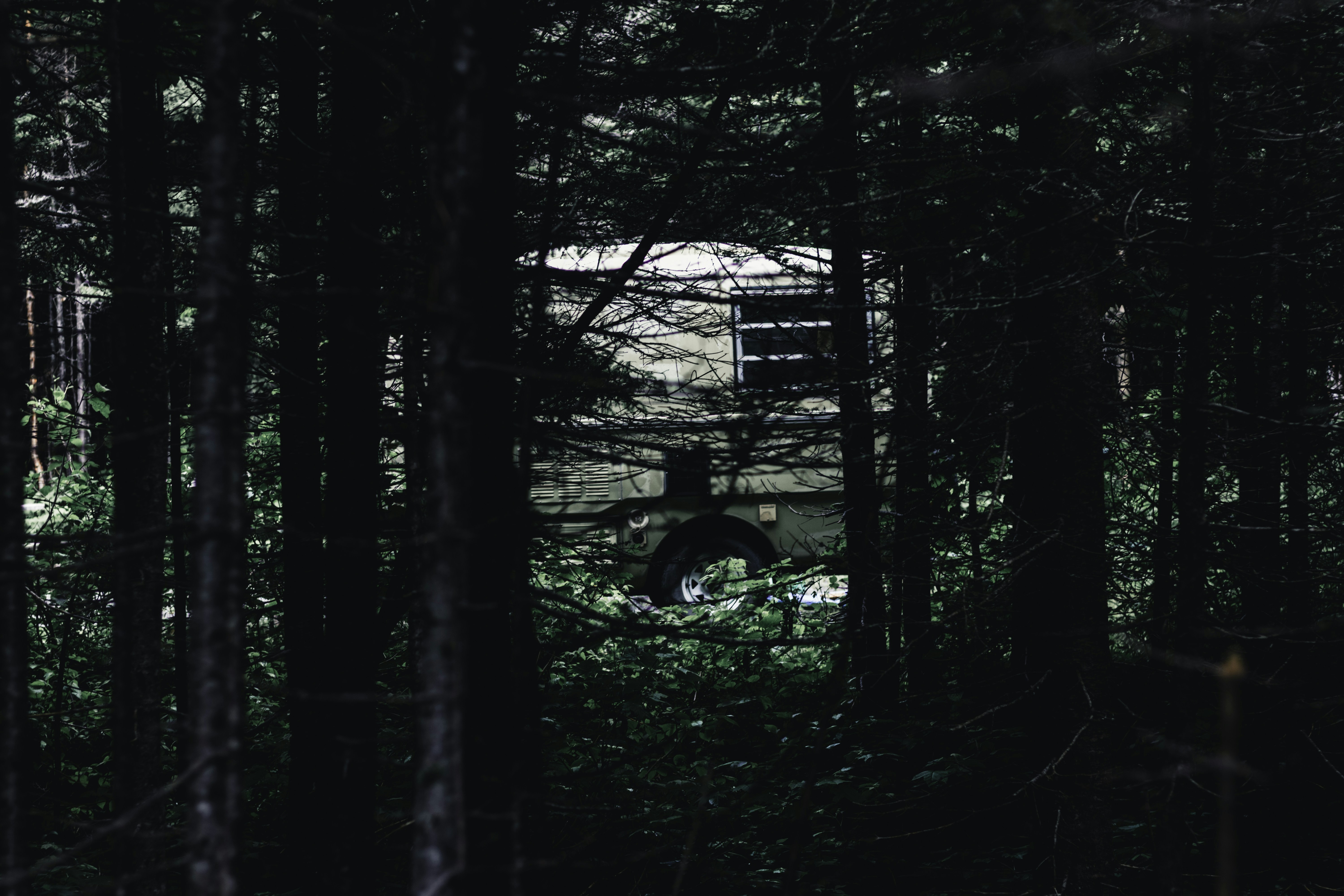 Photo by lureofadventure