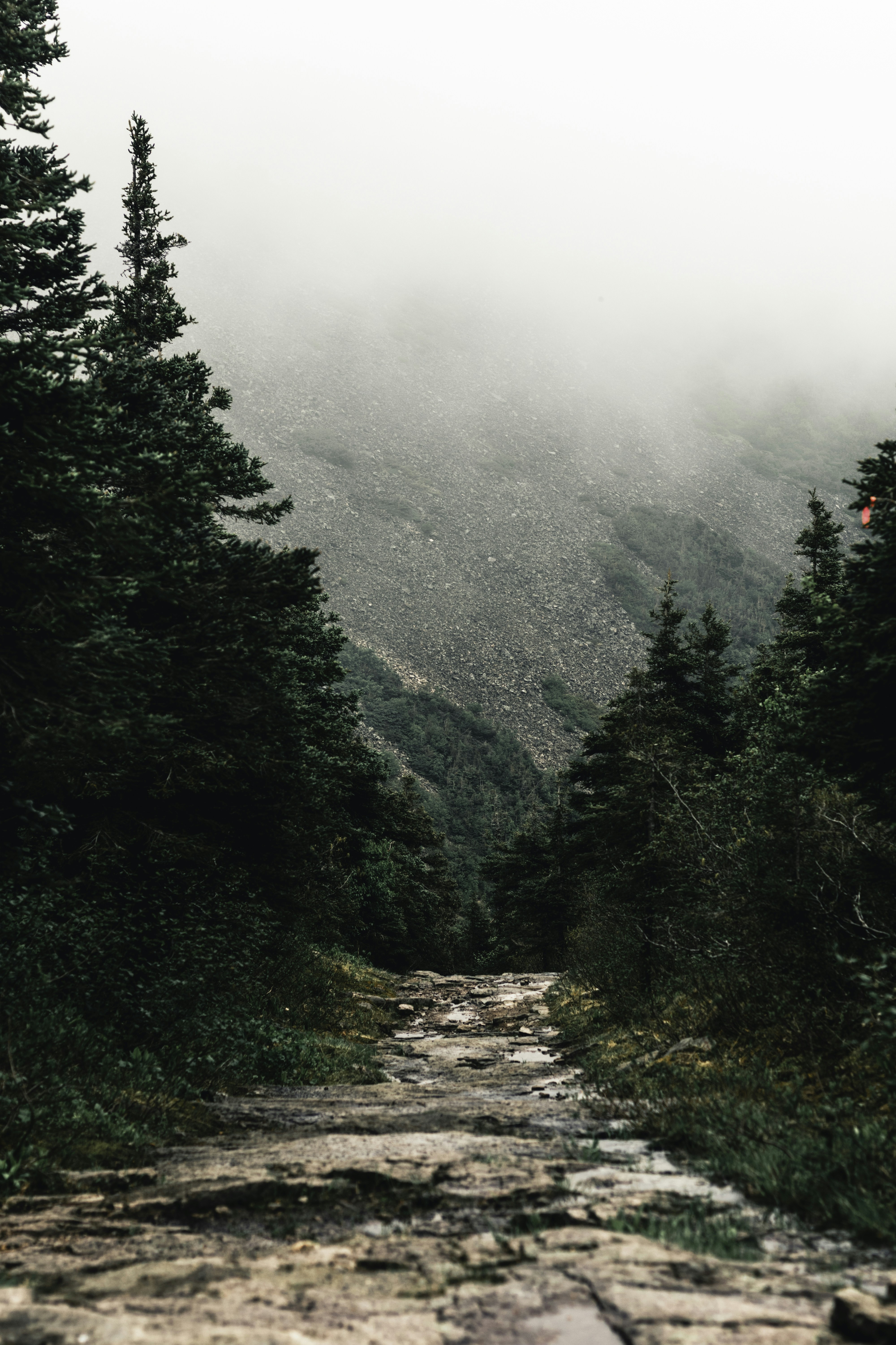 Photo by lureofadventure