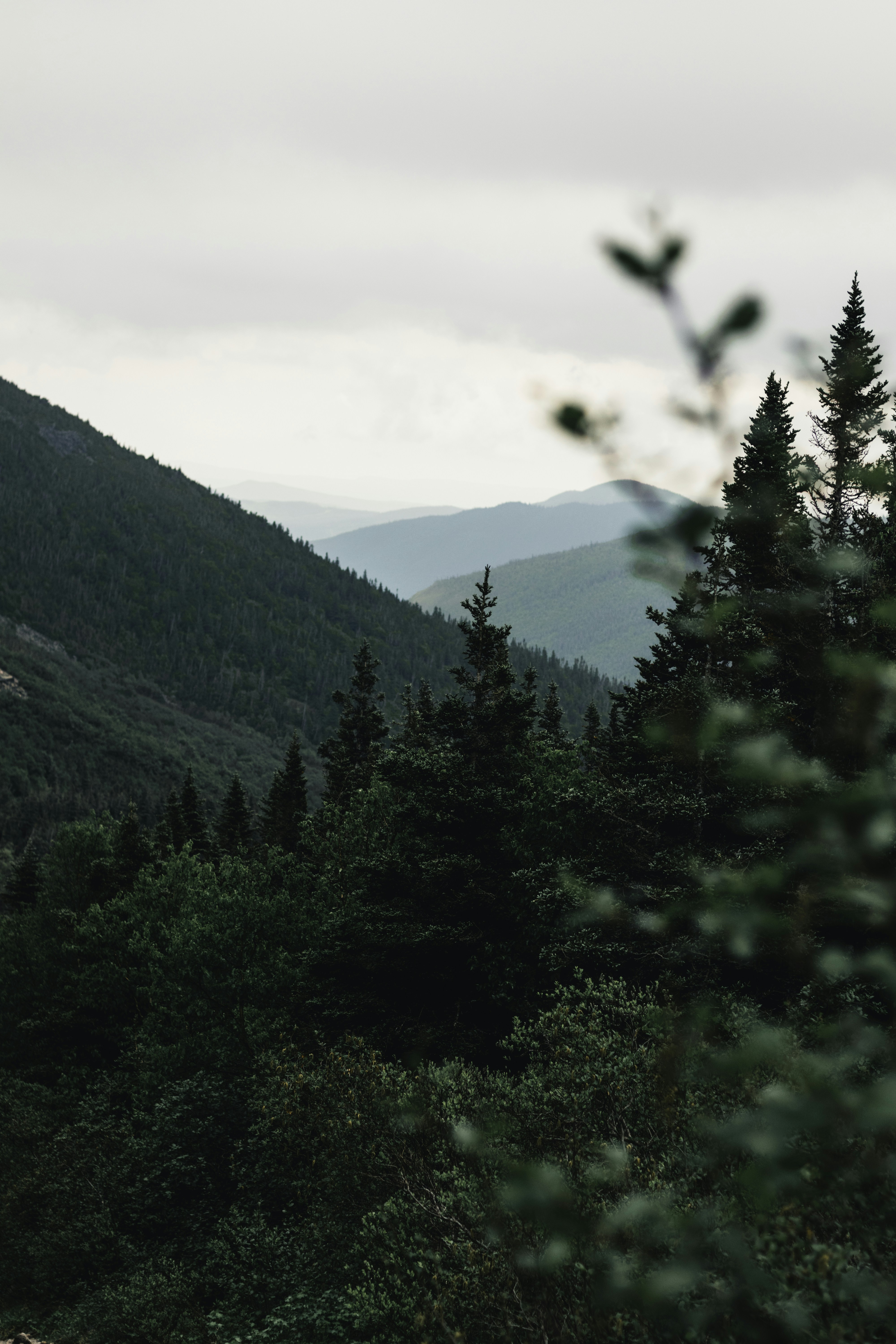 Photo by lureofadventure