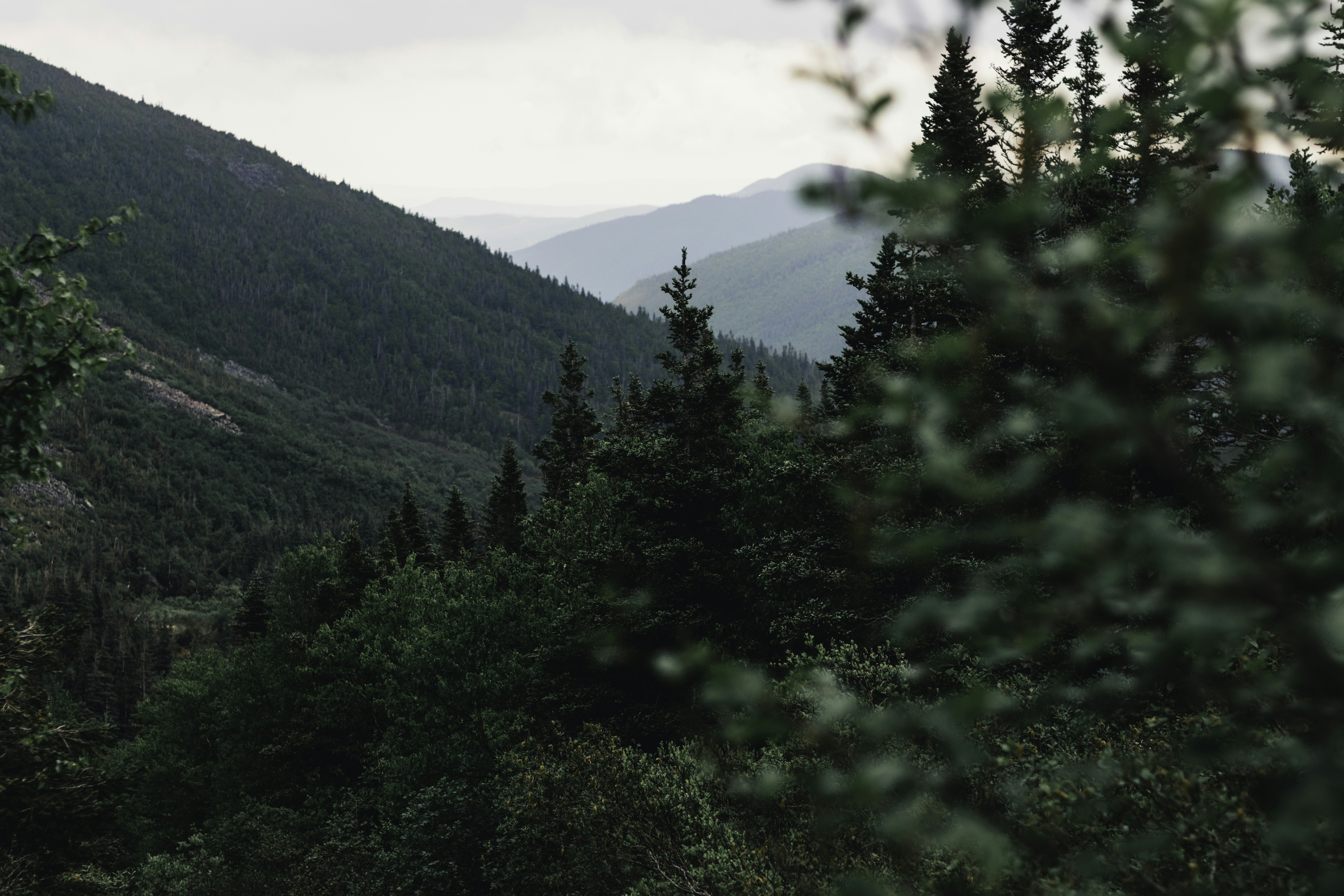 Photo by lureofadventure