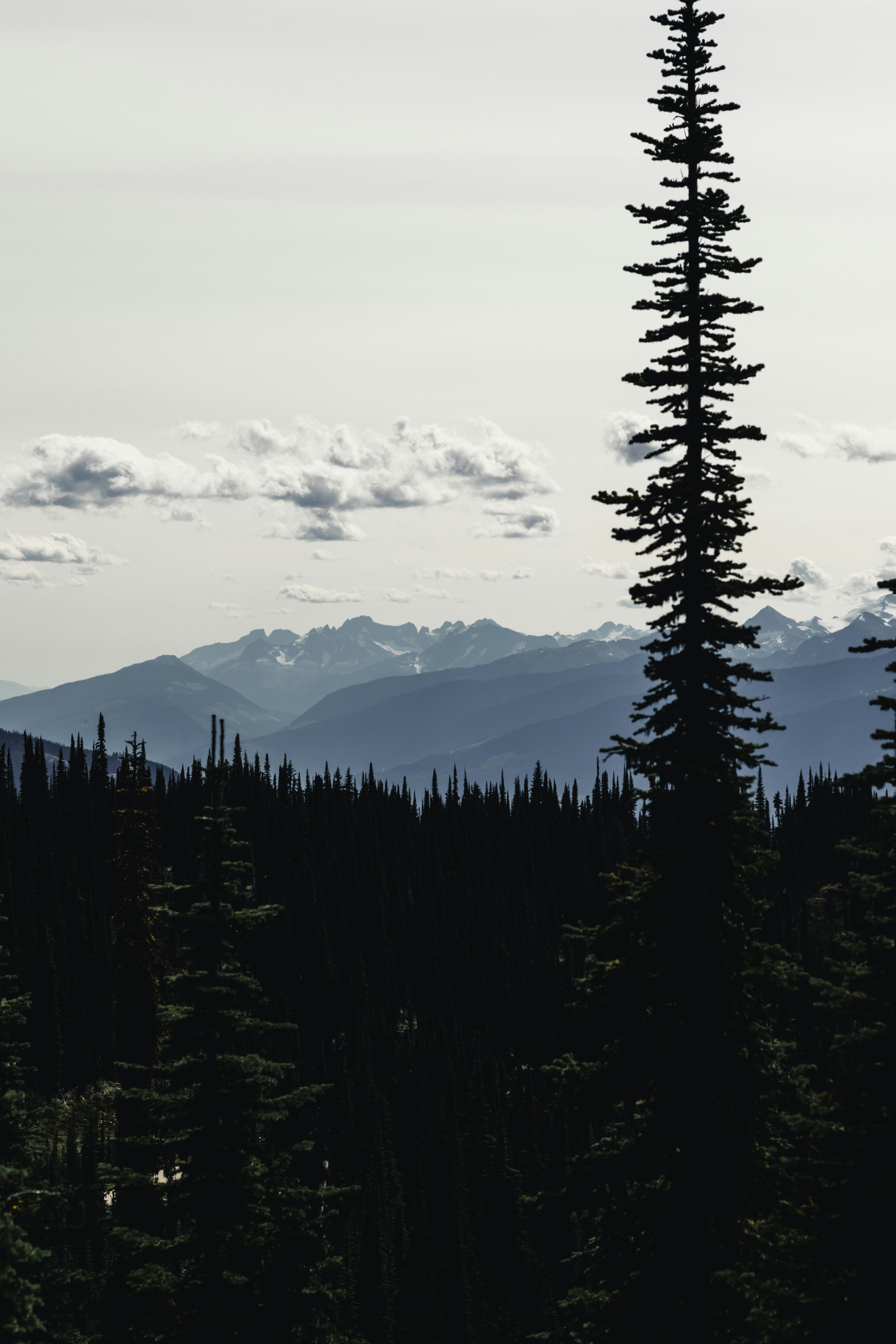 Photo by lureofadventure