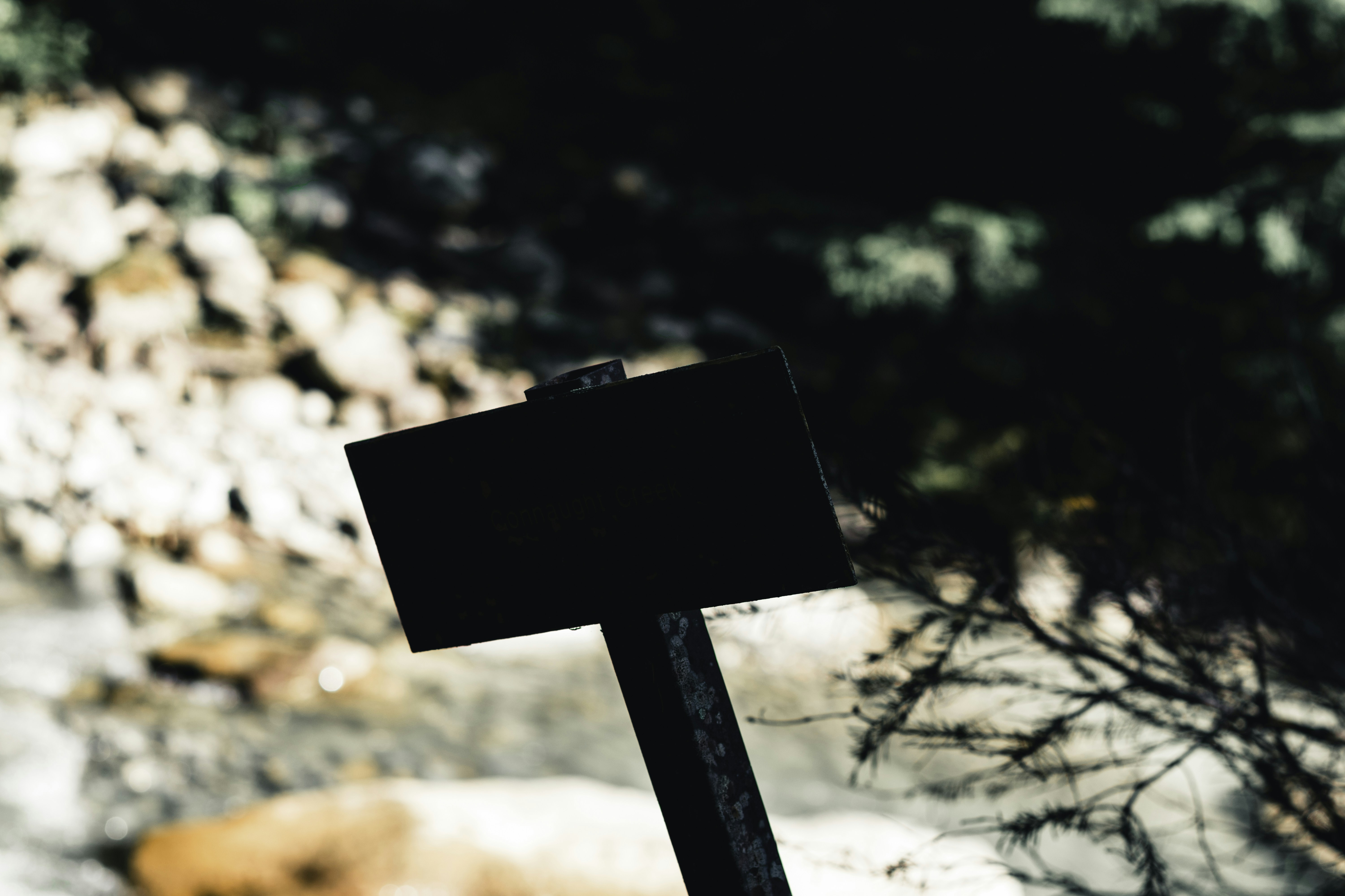 Photo by lureofadventure