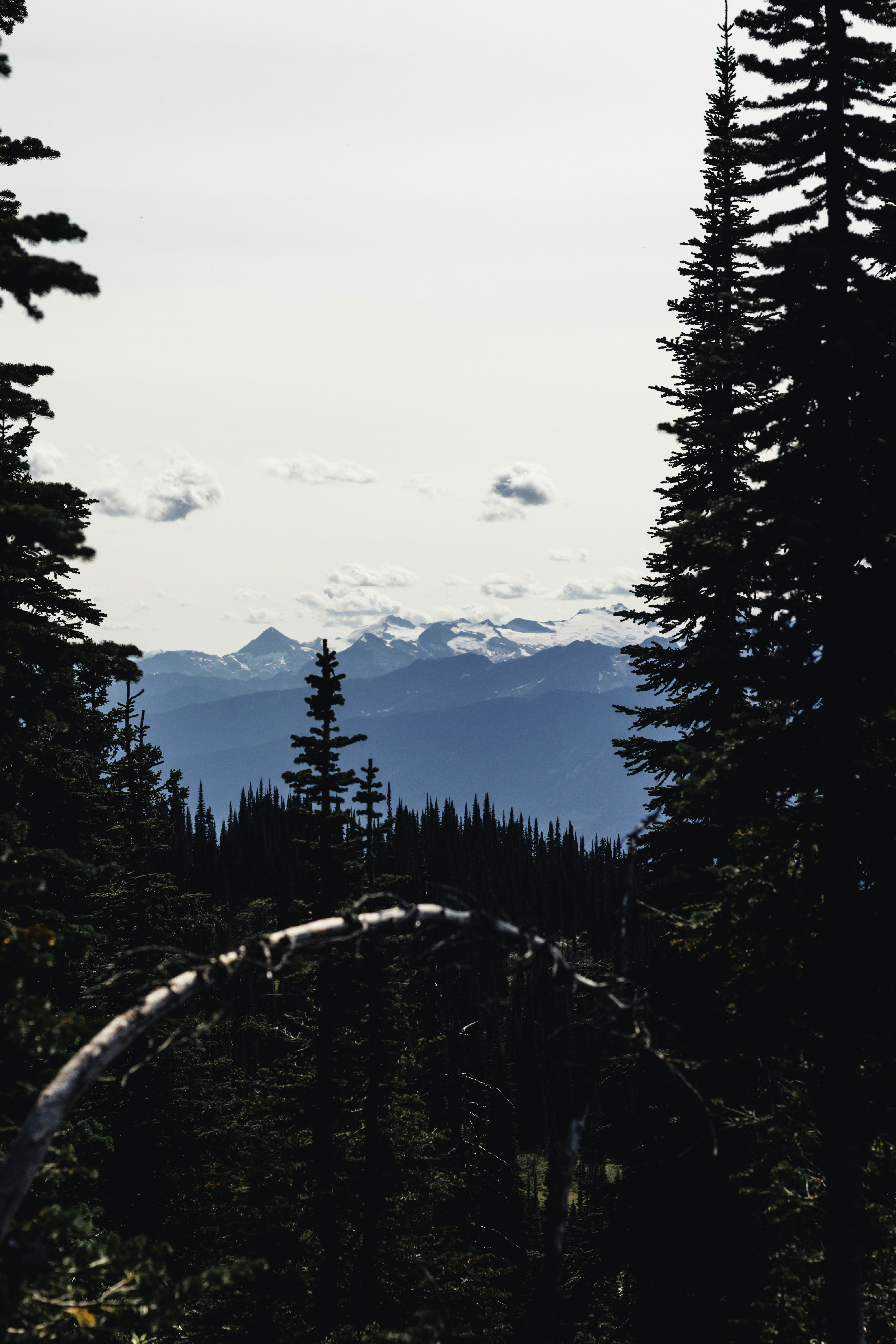 Photo by lureofadventure