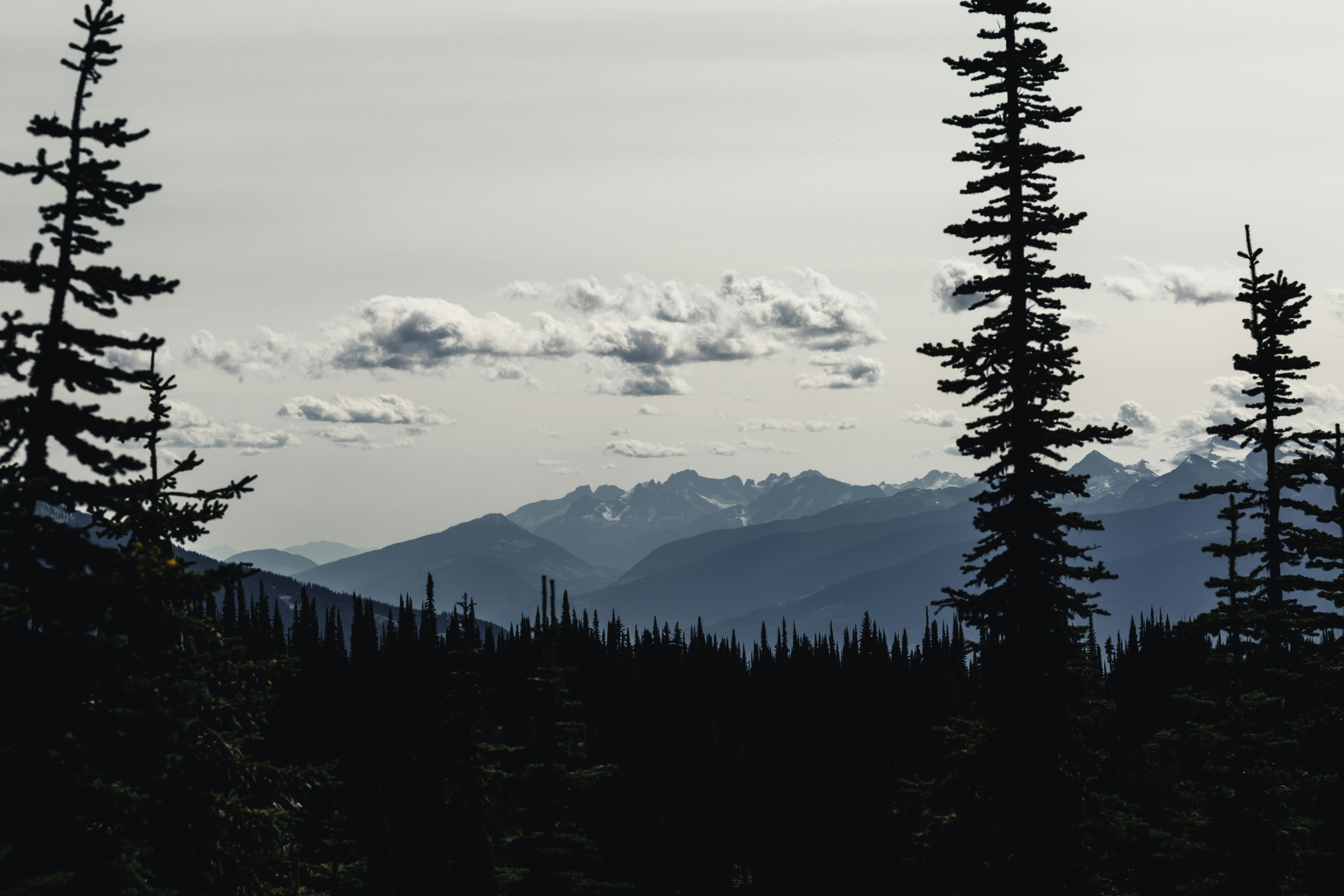 Photo by lureofadventure