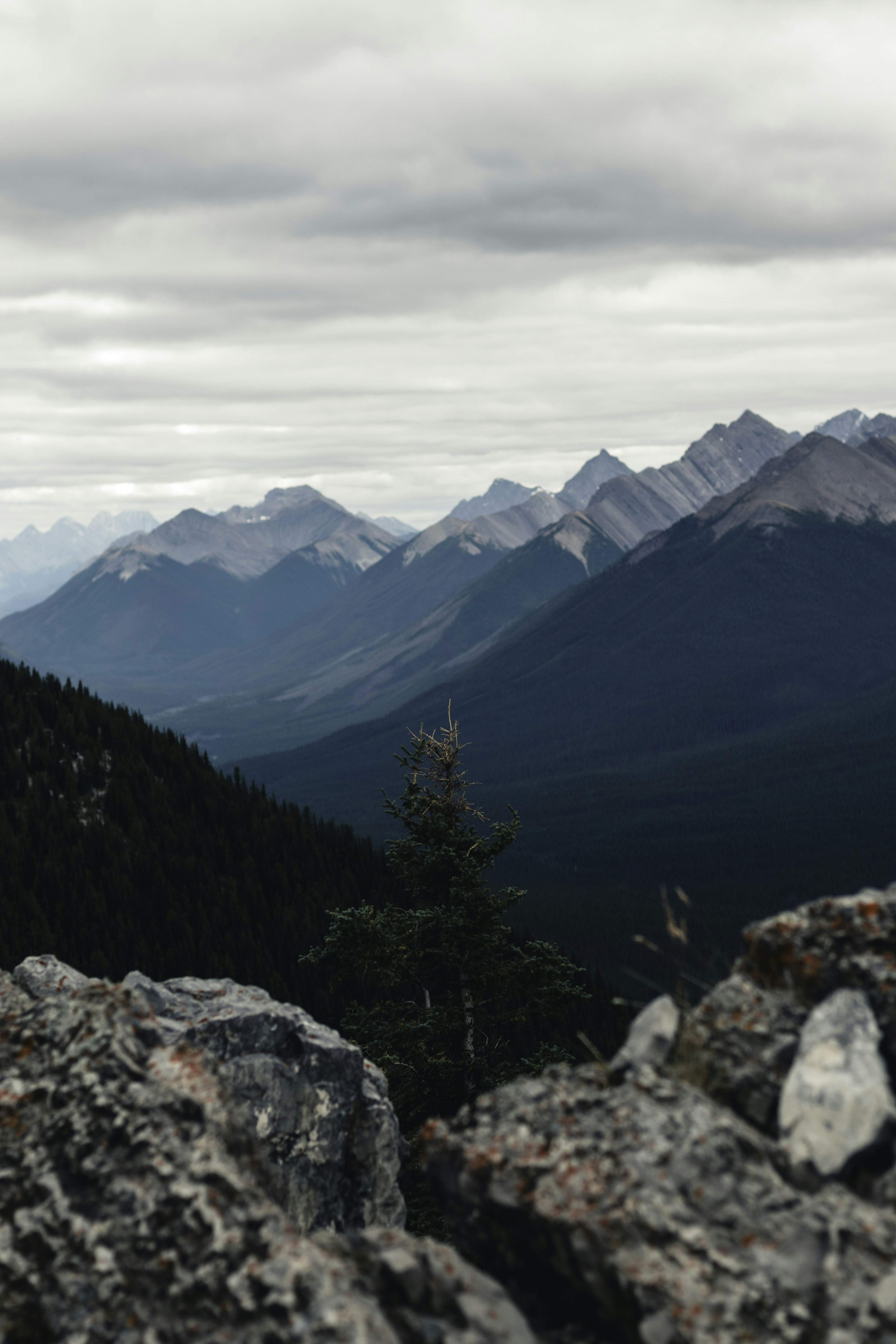 Photo by lureofadventure