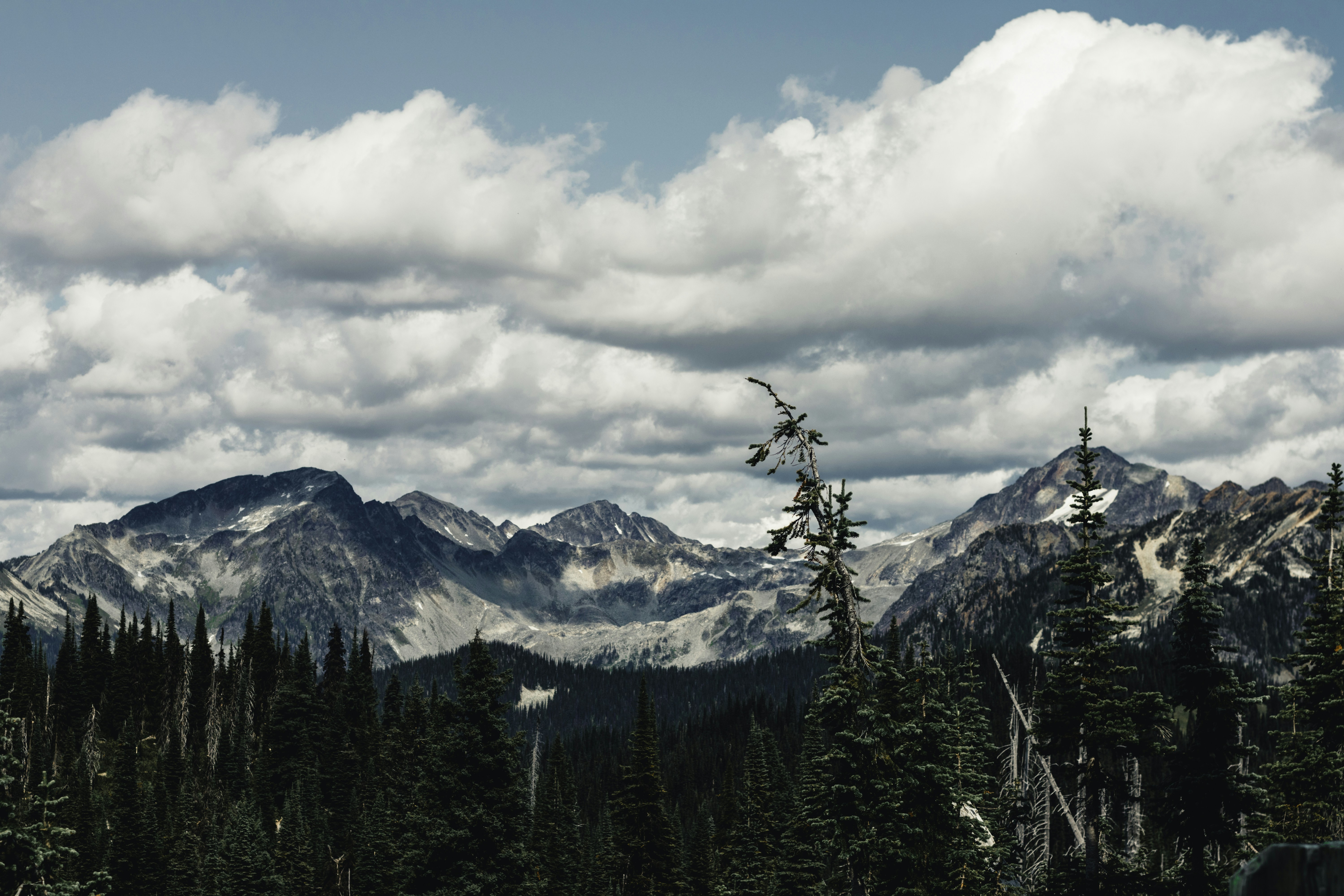 Photo by lureofadventure