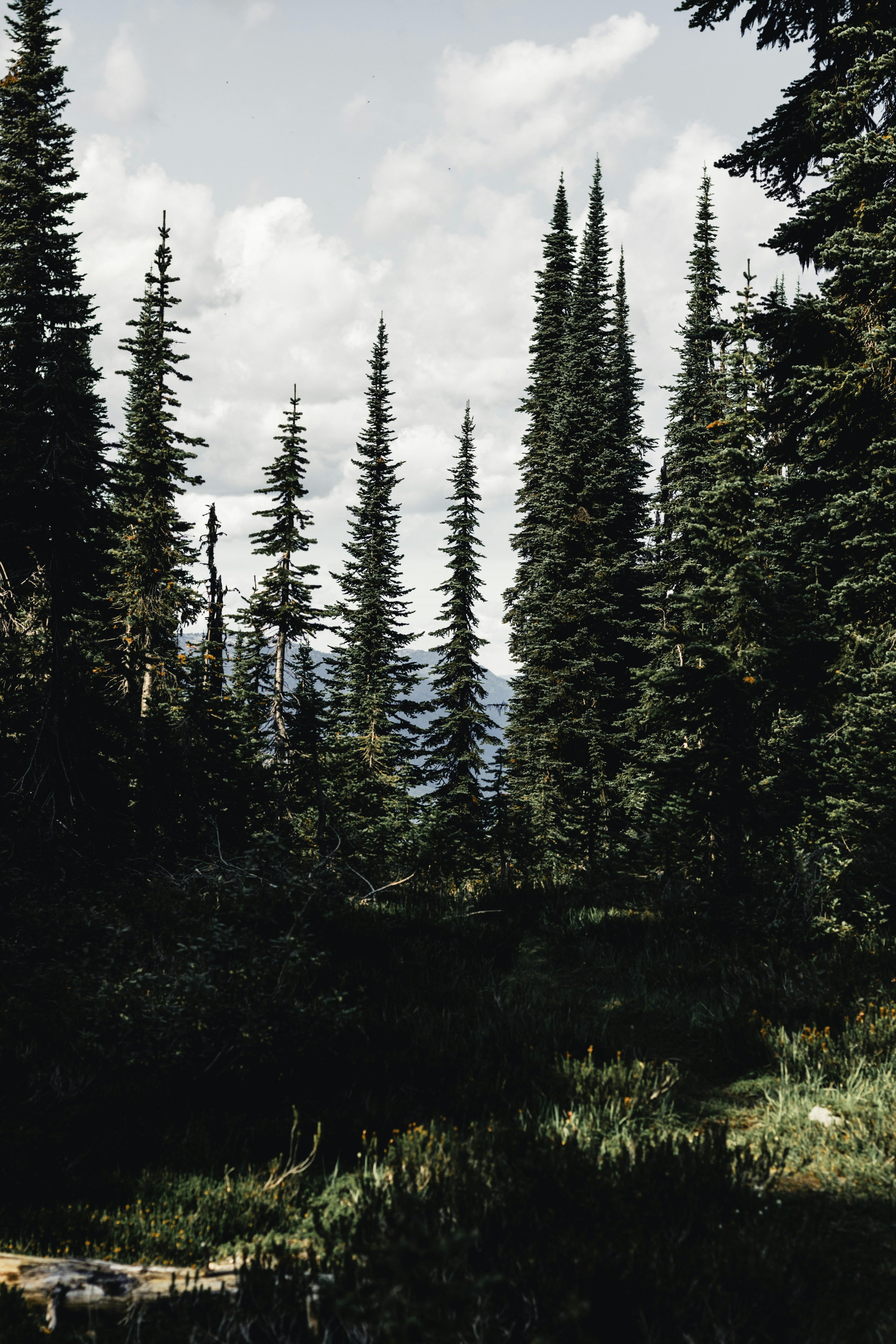 Photo by lureofadventure