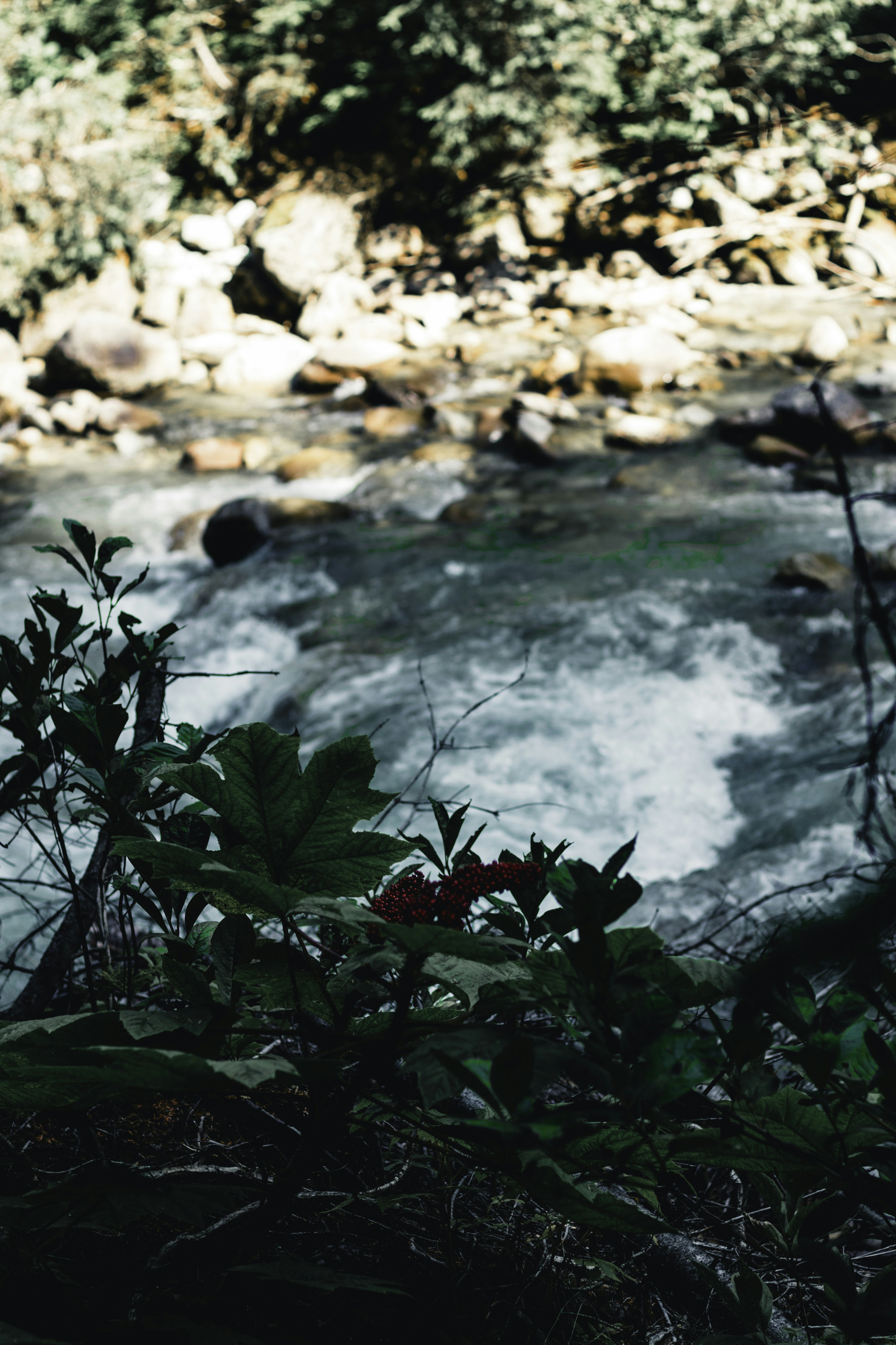 Photo by lureofadventure