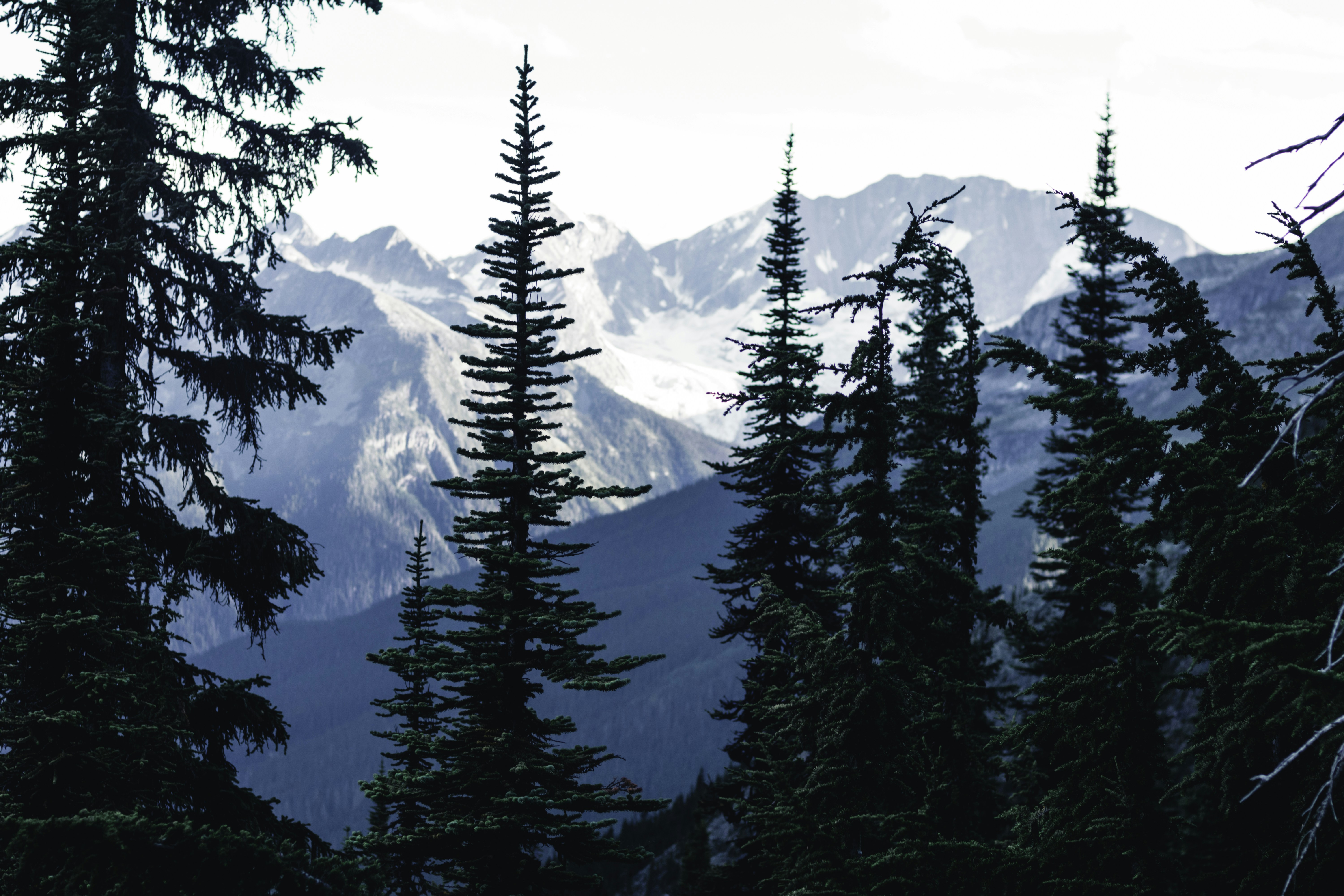 Photo by lureofadventure