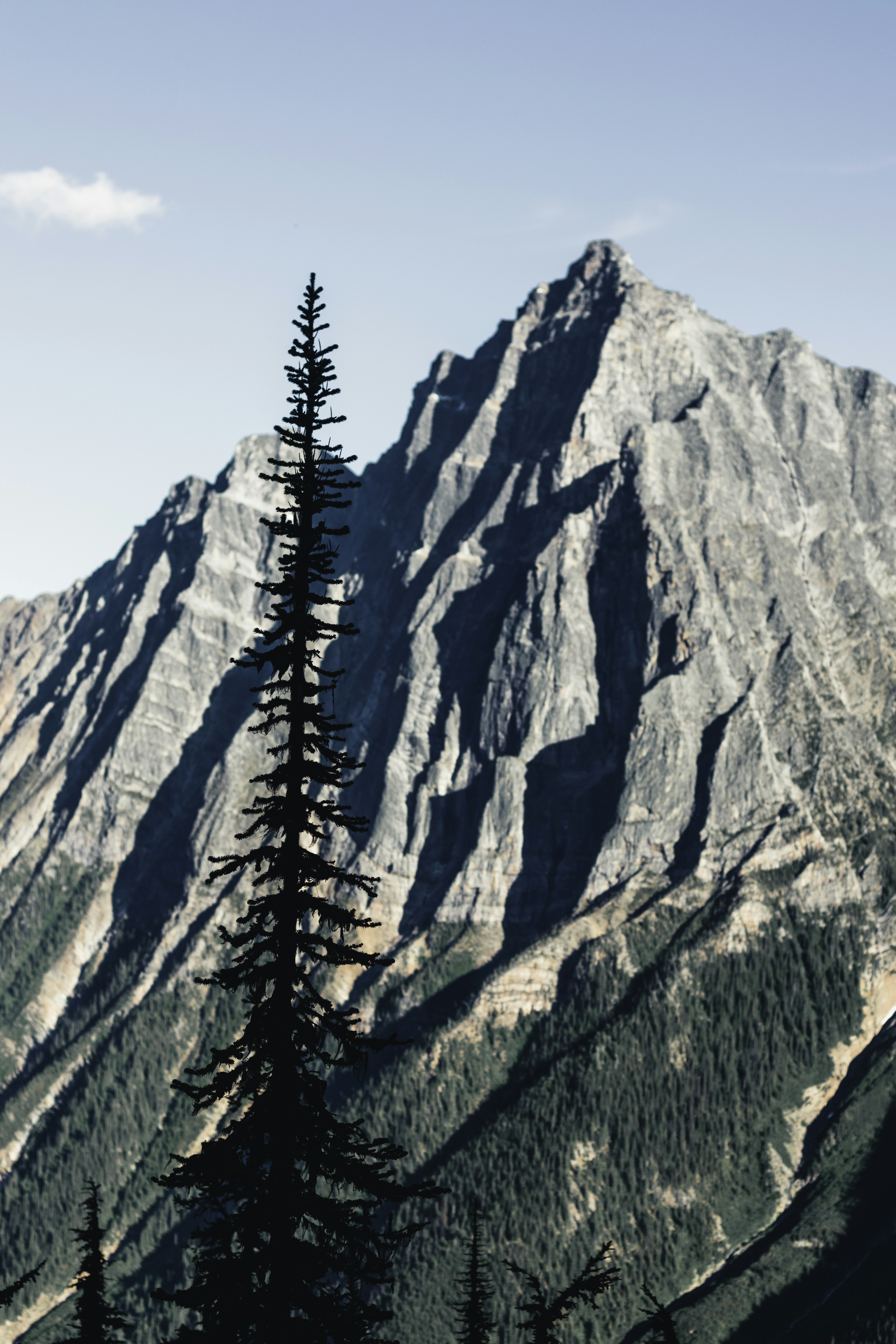 Photo by lureofadventure