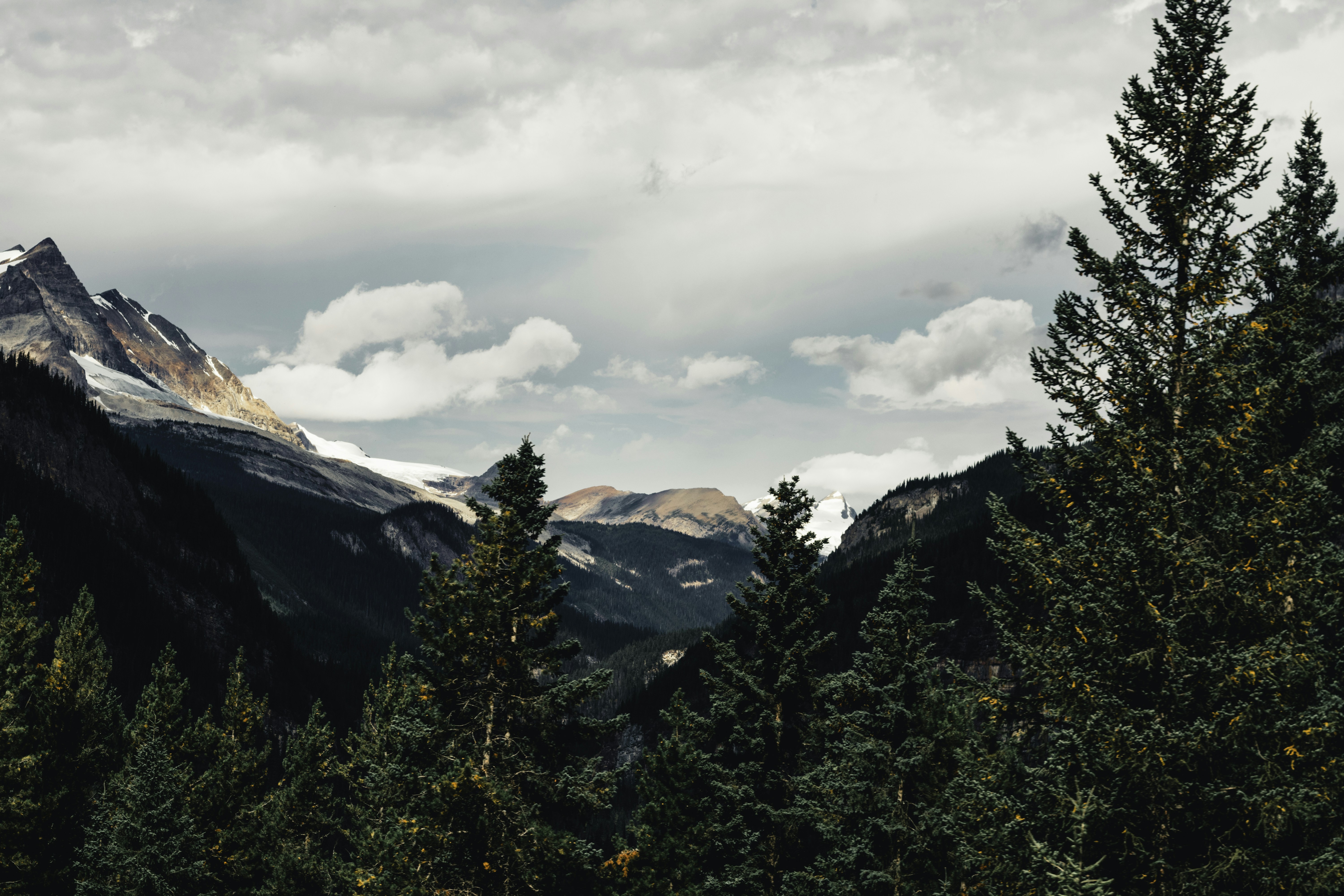 Photo by lureofadventure