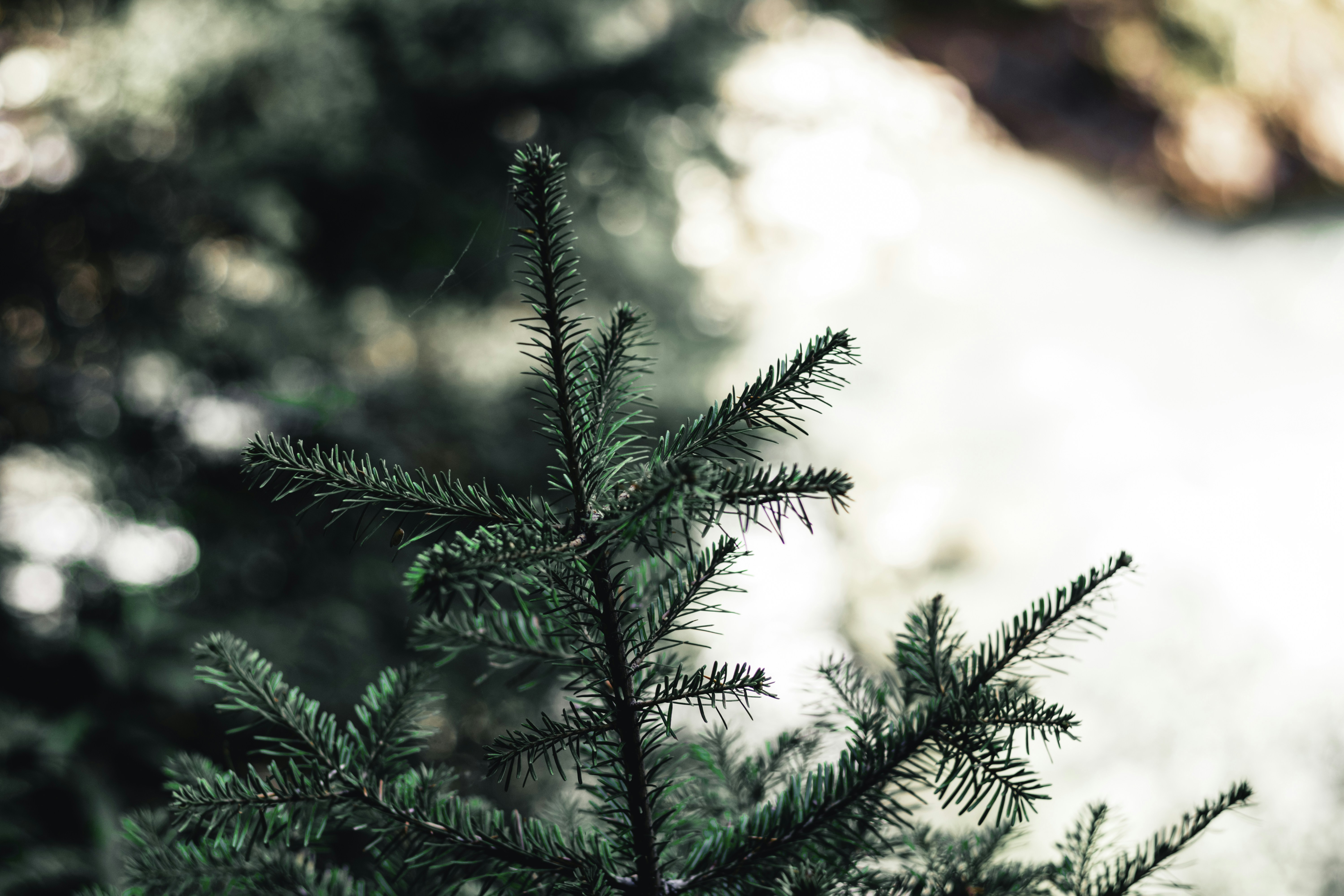 Photo by lureofadventure