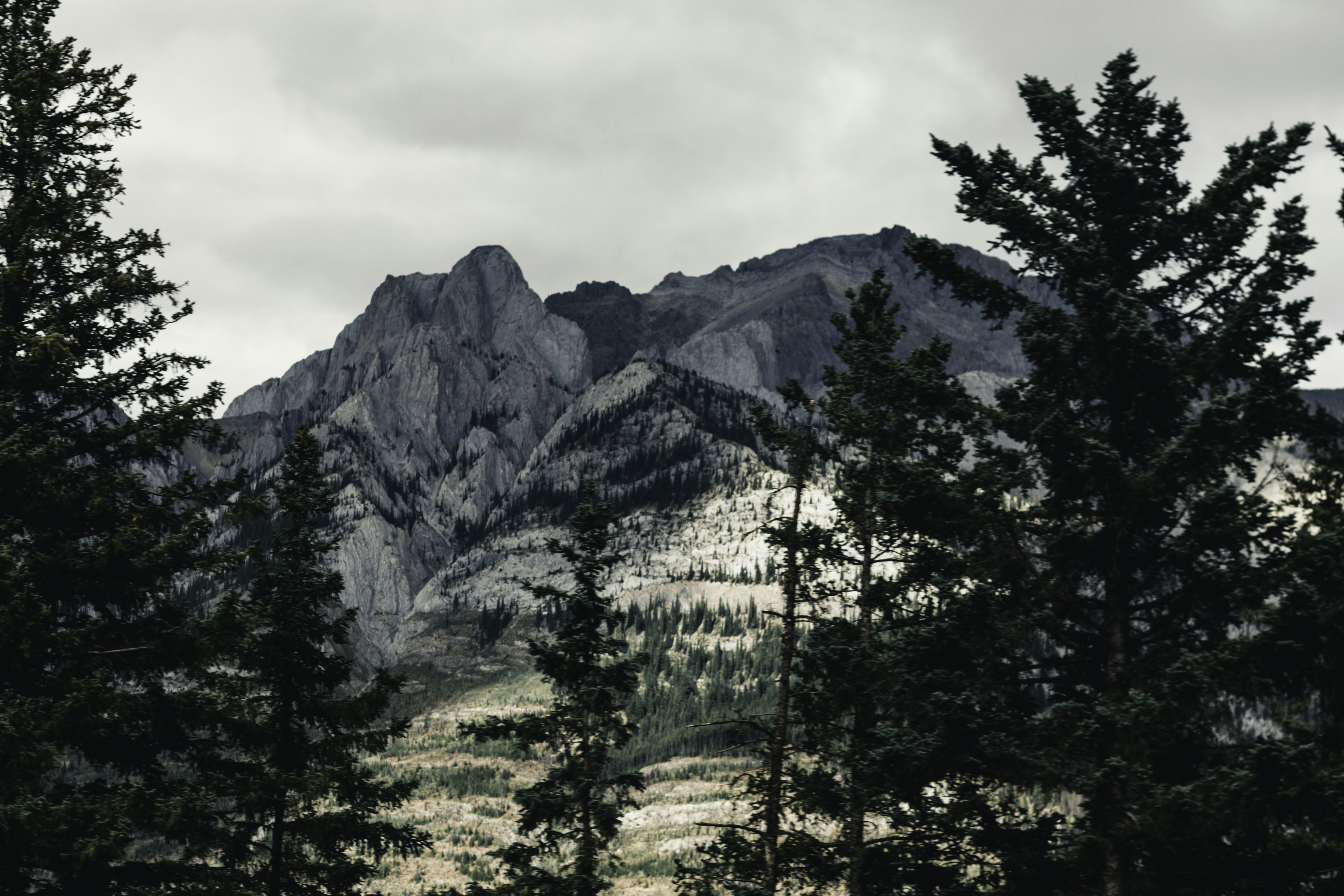 Photo by lureofadventure