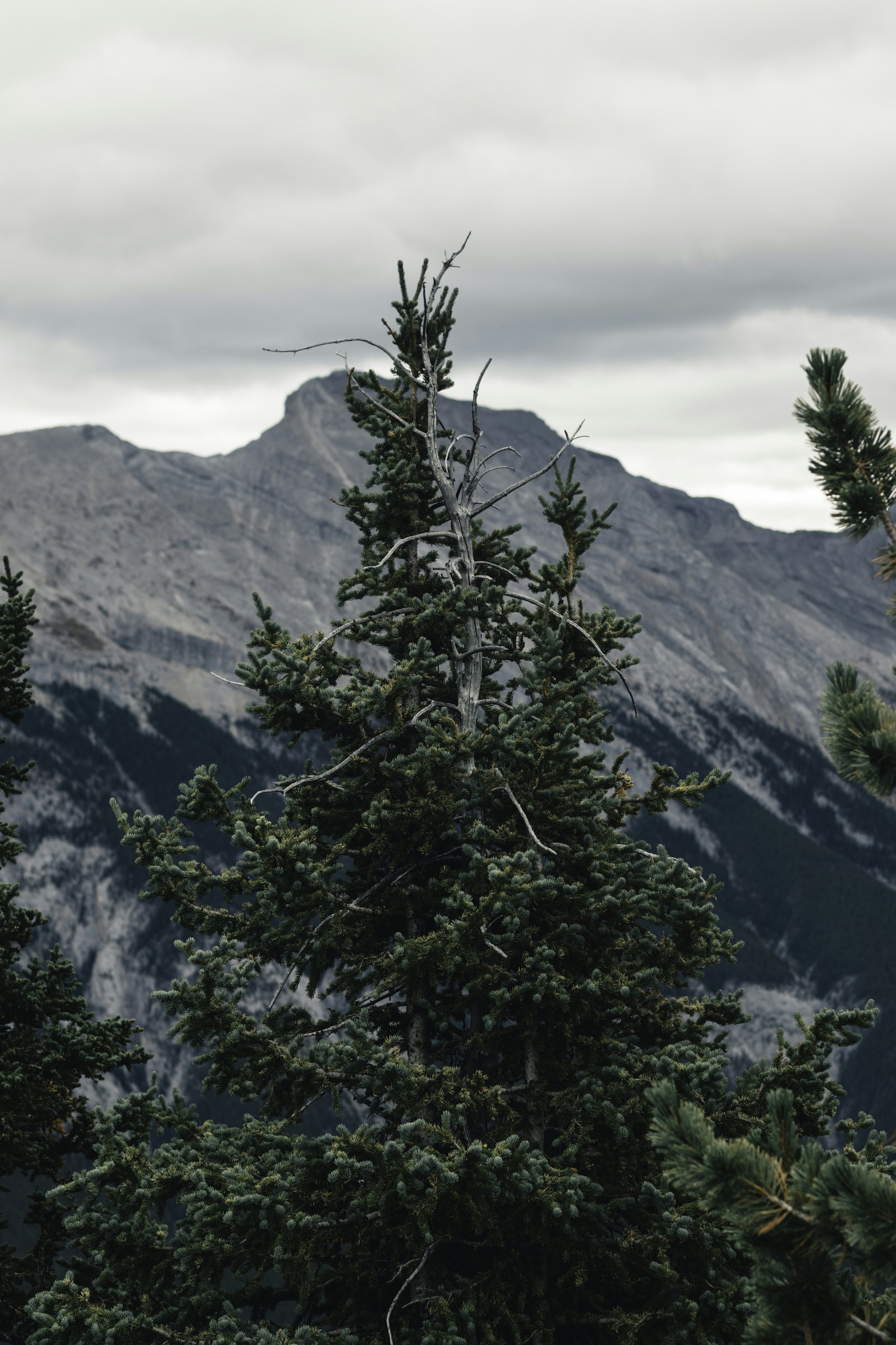 Photo by lureofadventure