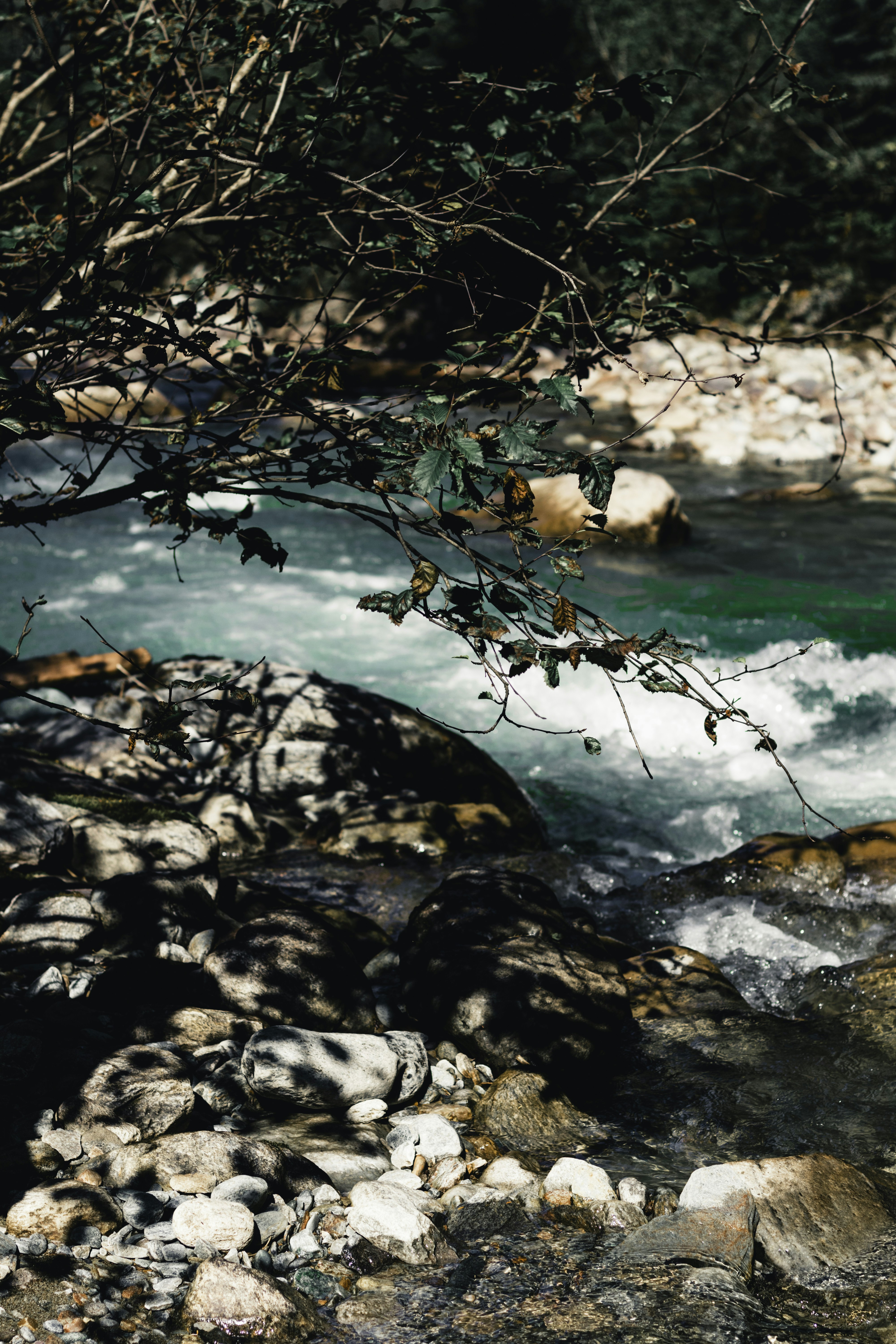 Photo by lureofadventure