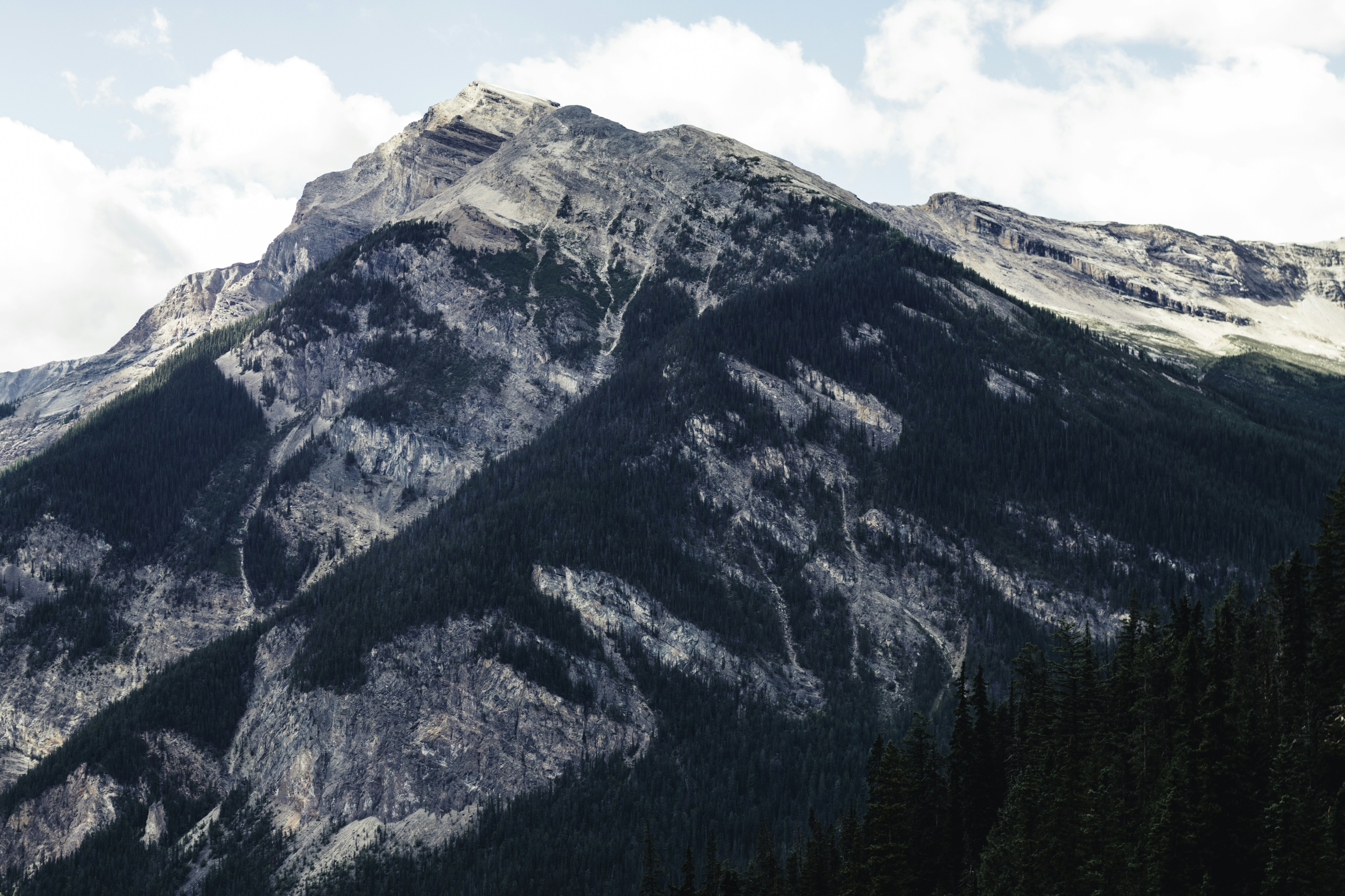 Photo by lureofadventure