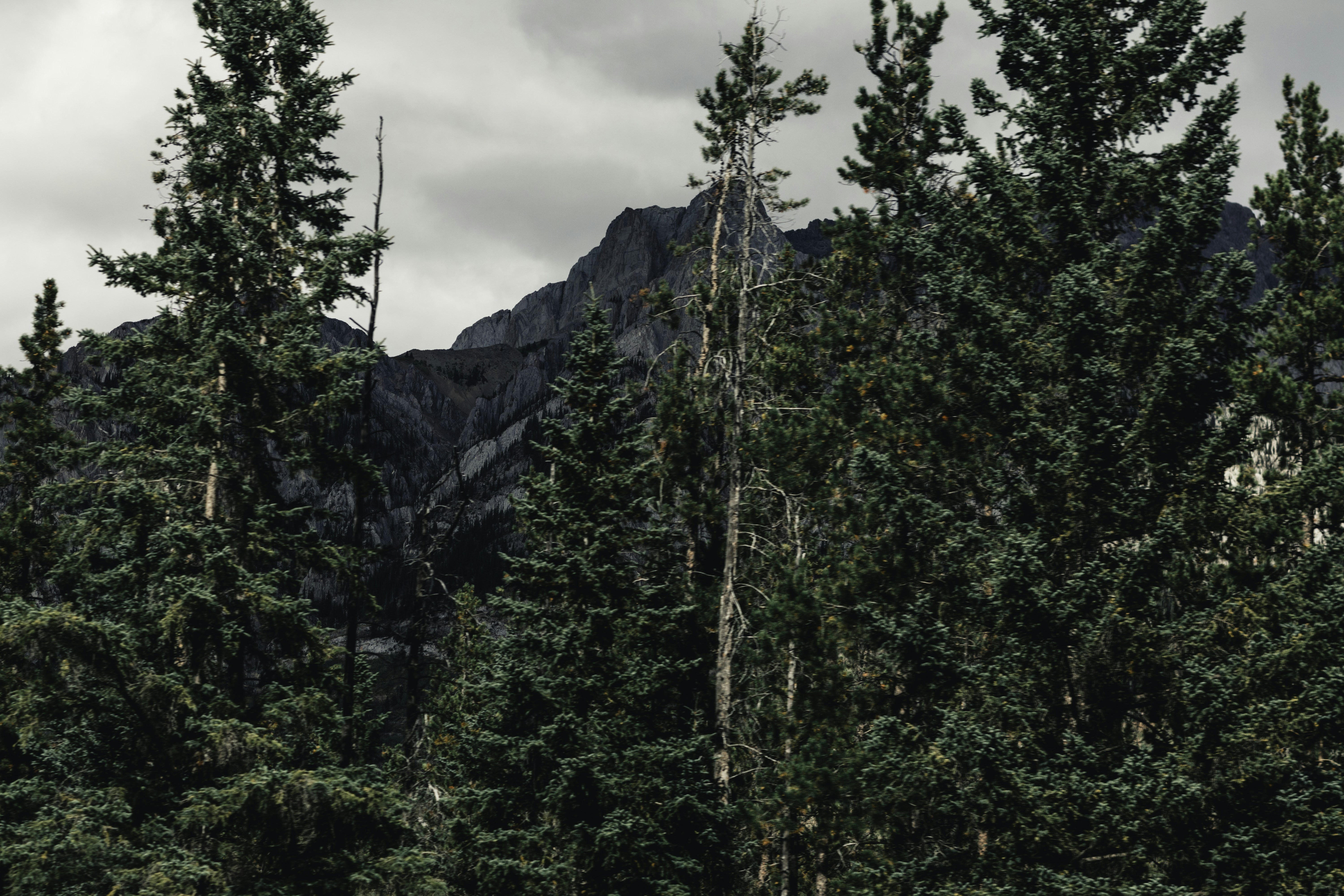 Photo by lureofadventure